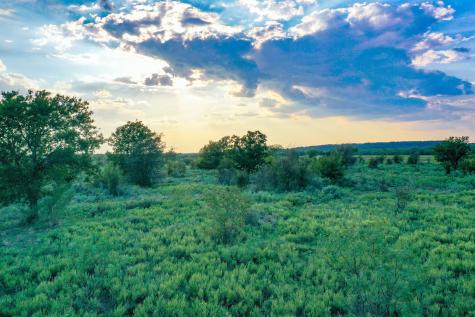 99.97 Acres S 281 Highway Perrin TX 76486