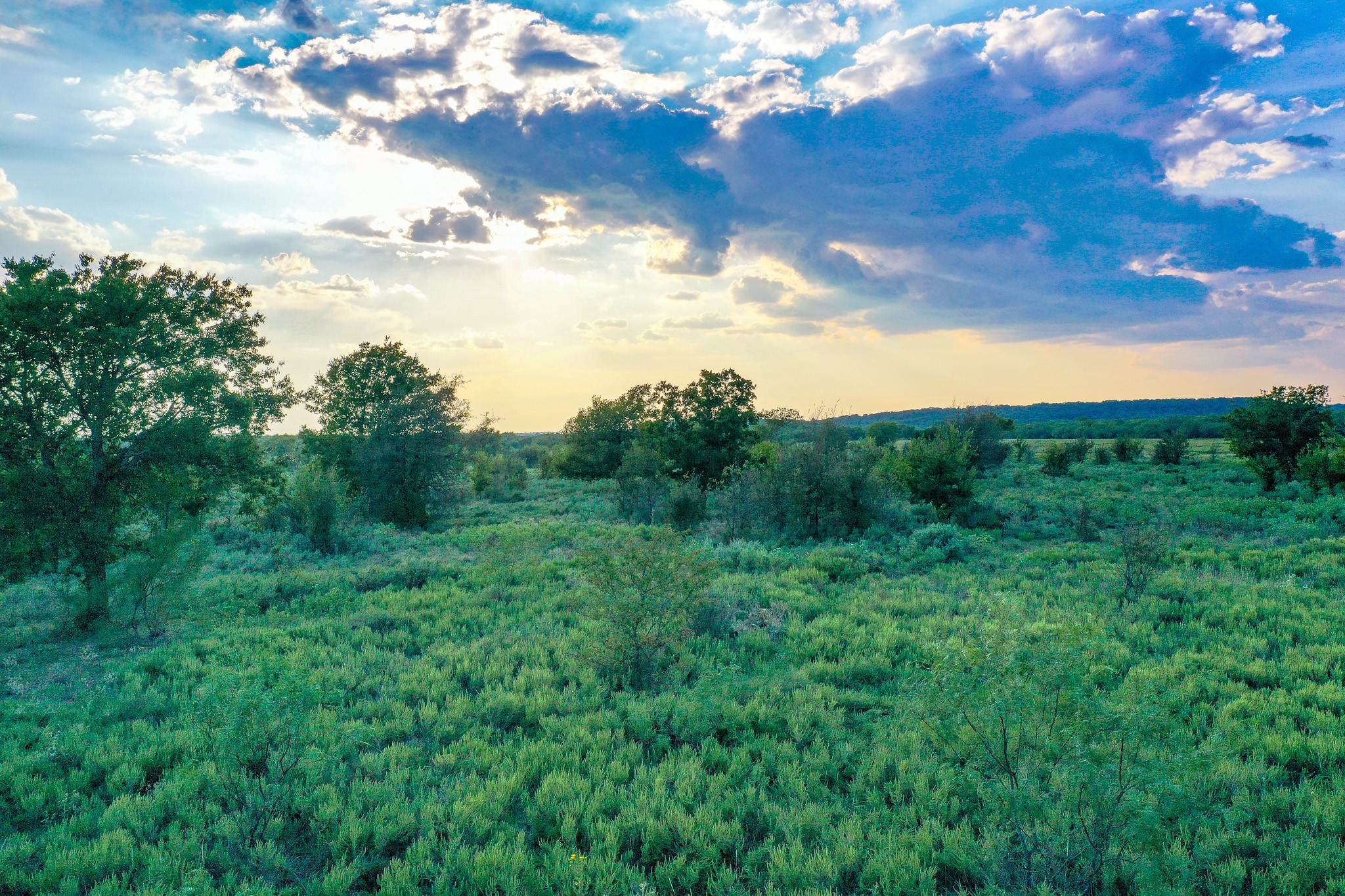 99.97 Acres S 281 Highway Perrin TX 76486
