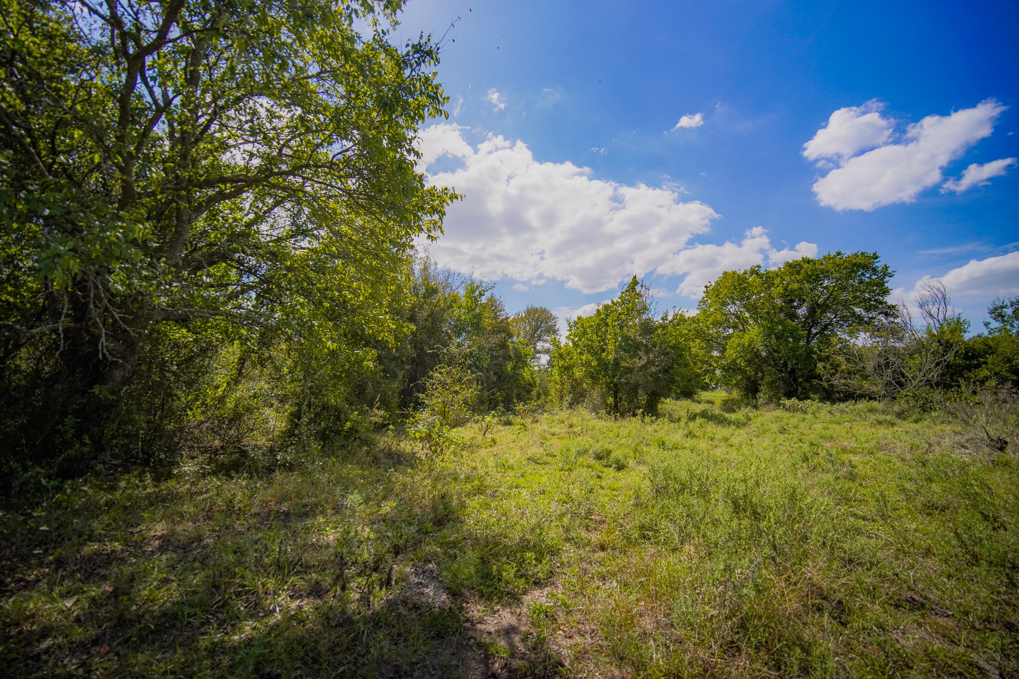 99.97 Acres S 281 Highway Perrin TX 76486