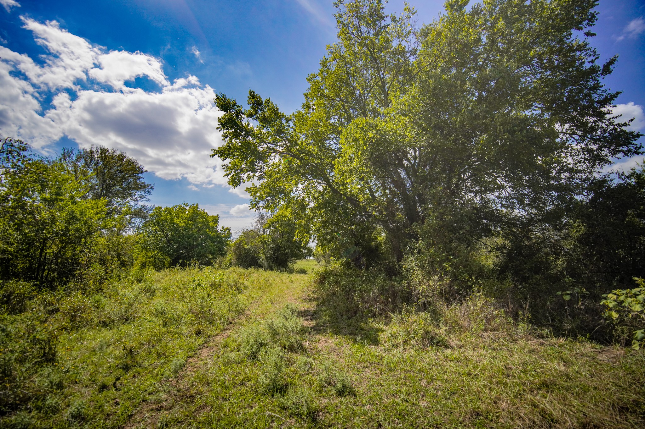 99.97 Acres S 281 Highway Perrin TX 76486