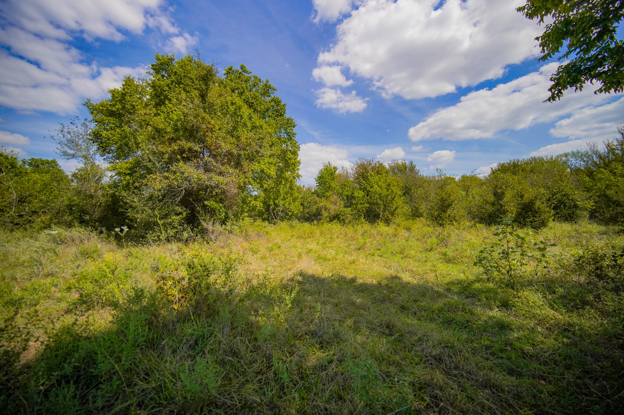99.97 Acres S 281 Highway Perrin TX 76486