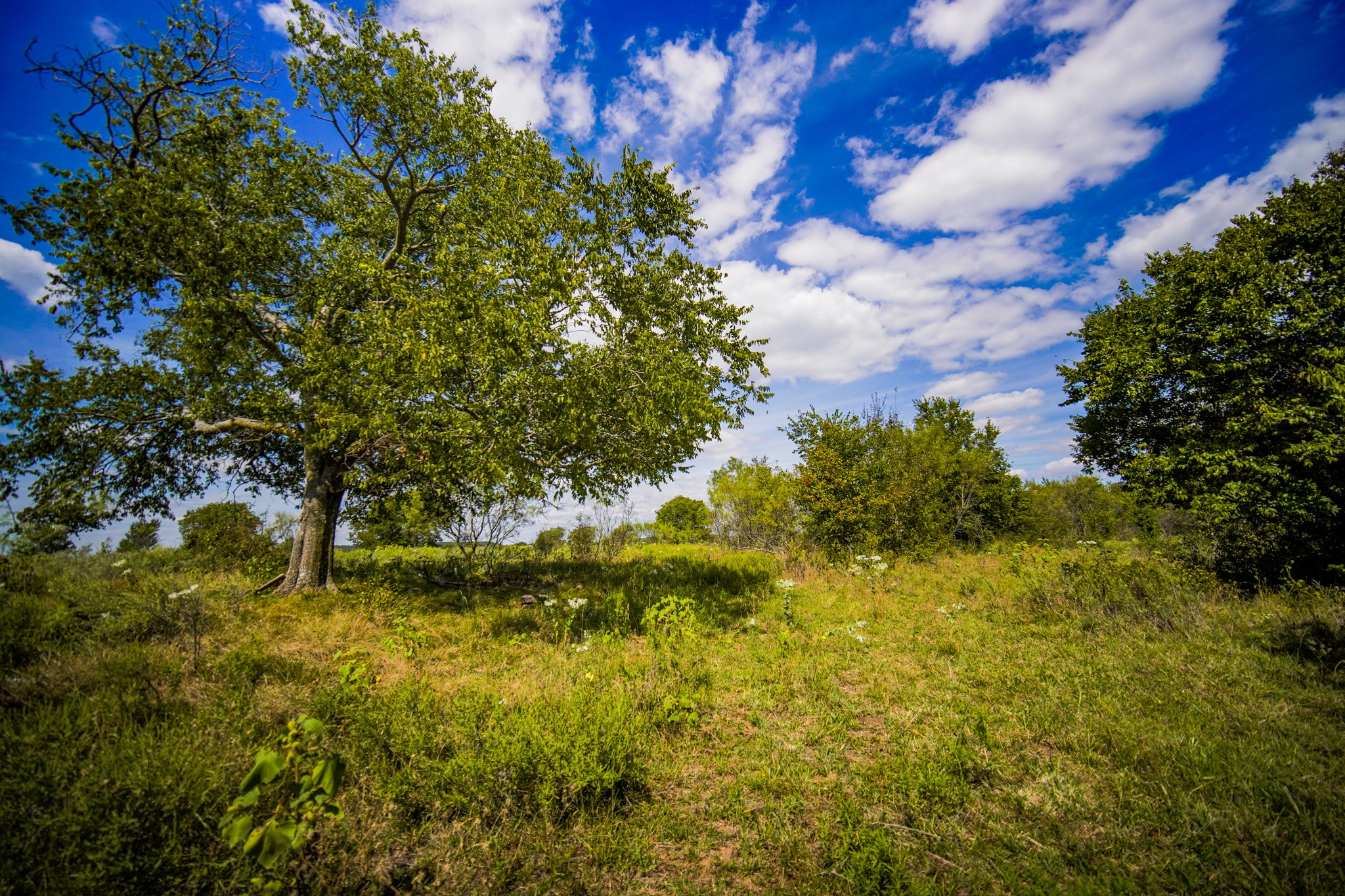 99.97 Acres S 281 Highway Perrin TX 76486