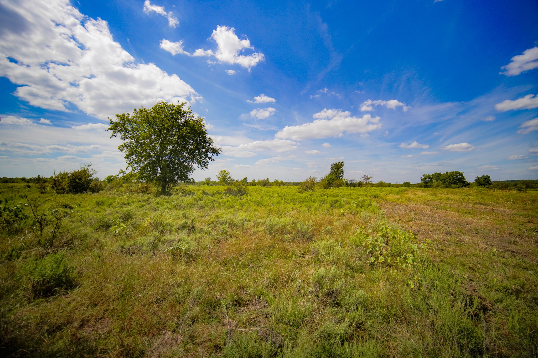 99.97 Acres S 281 Highway Perrin TX 76486