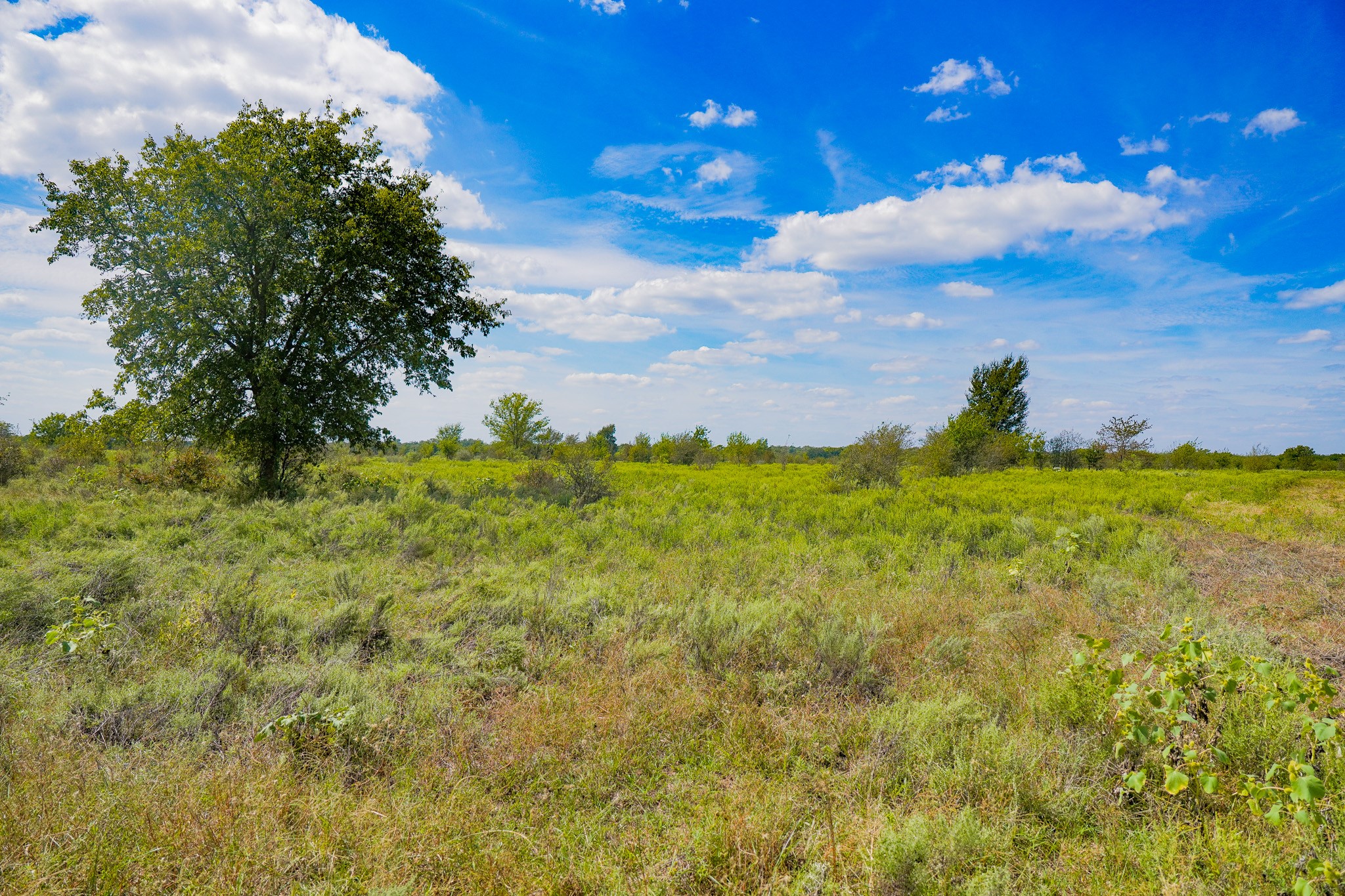 99.97 Acres S 281 Highway Perrin TX 76486