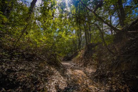 99.97 Acres S 281 Highway Perrin TX 76486