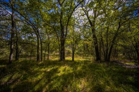 99.97 Acres S 281 Highway Perrin TX 76486