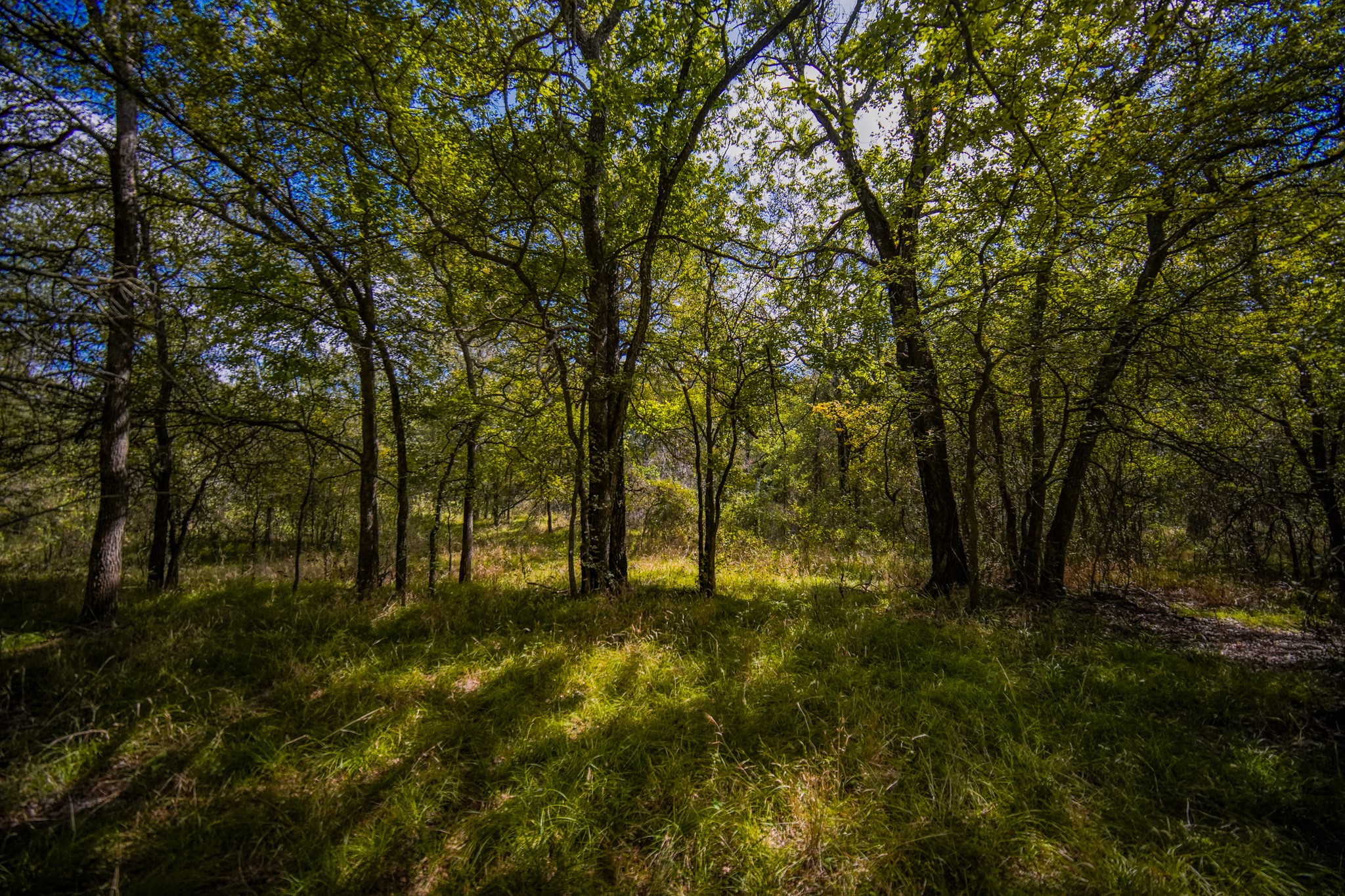 99.97 Acres S 281 Highway Perrin TX 76486