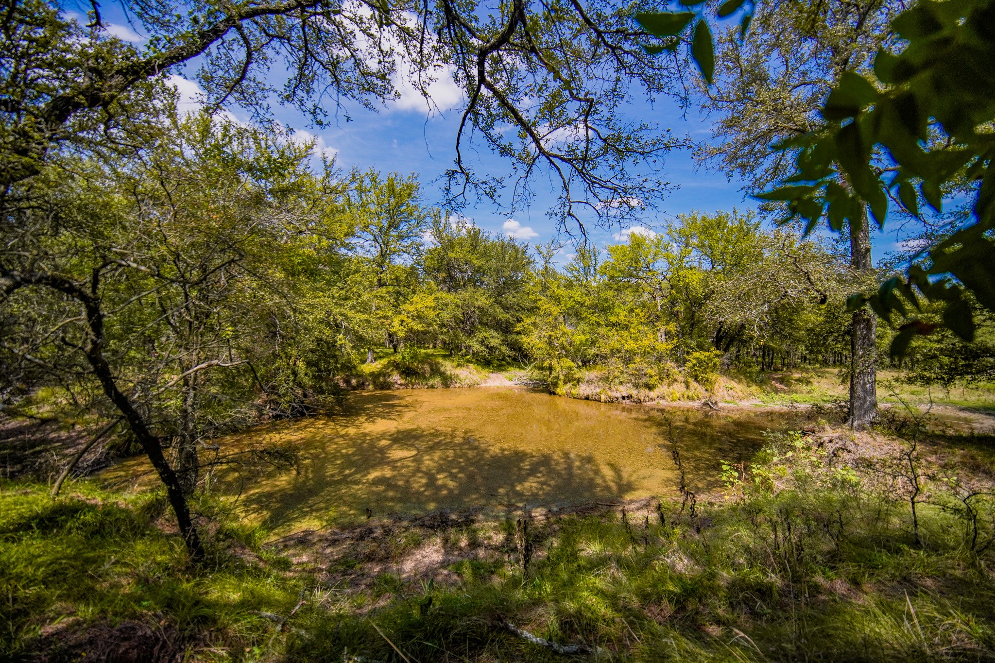 99.97 Acres S 281 Highway Perrin TX 76486