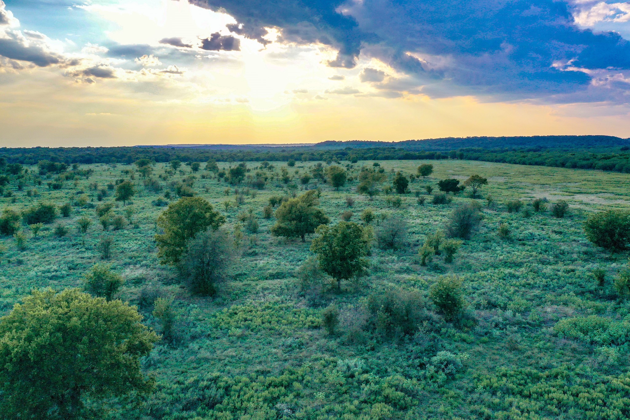 99.97 Acres S 281 Highway Perrin TX 76486