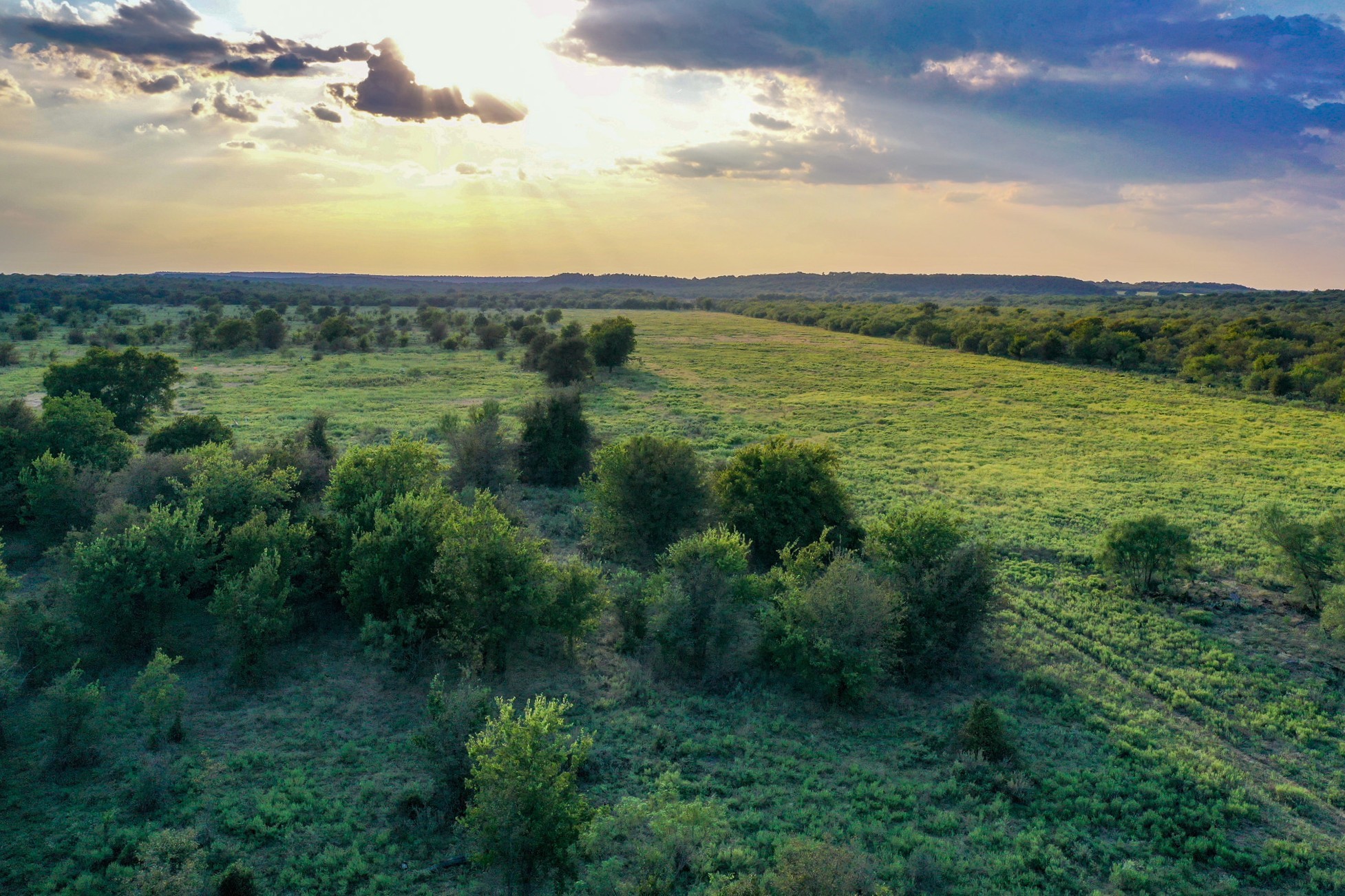 99.97 Acres S 281 Highway Perrin TX 76486