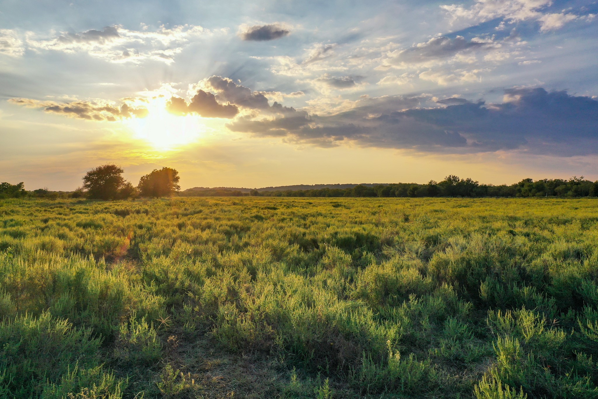 99.97 Acres S 281 Highway Perrin TX 76486