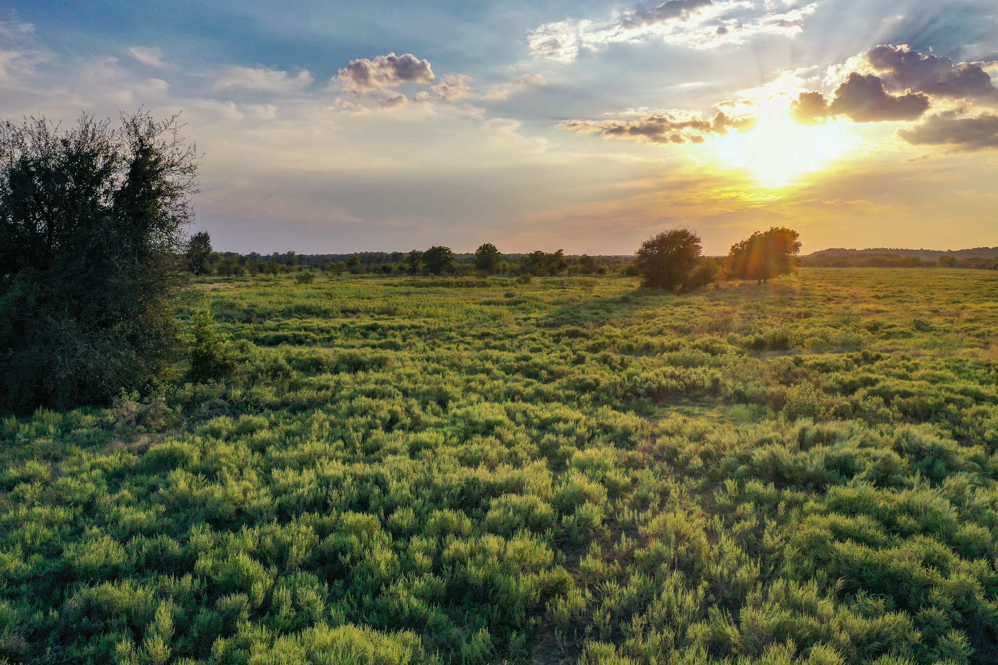 99.97 Acres S 281 Highway Perrin TX 76486