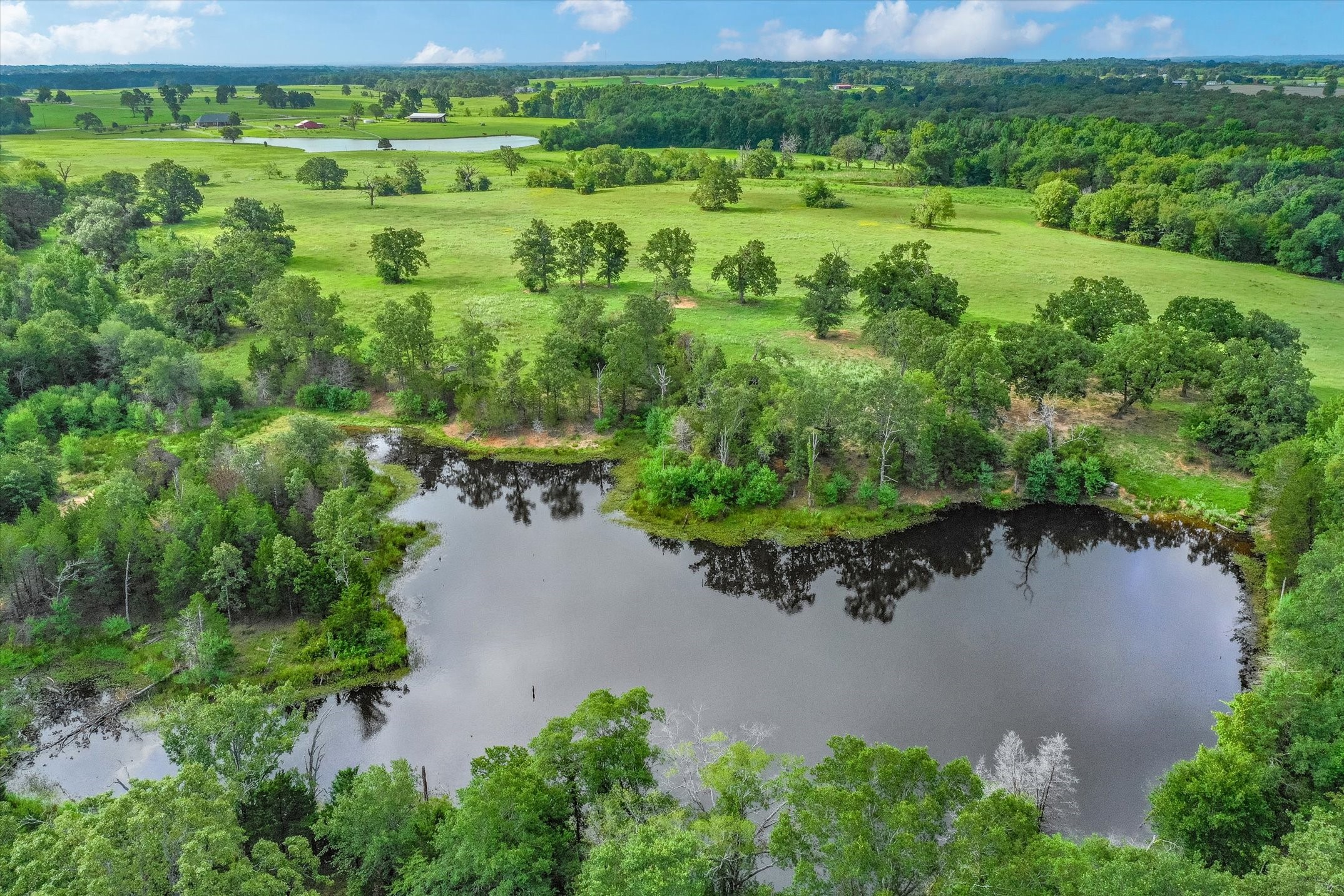 100 (+/-) Acres Fm 773 Grand Saline TX 75140