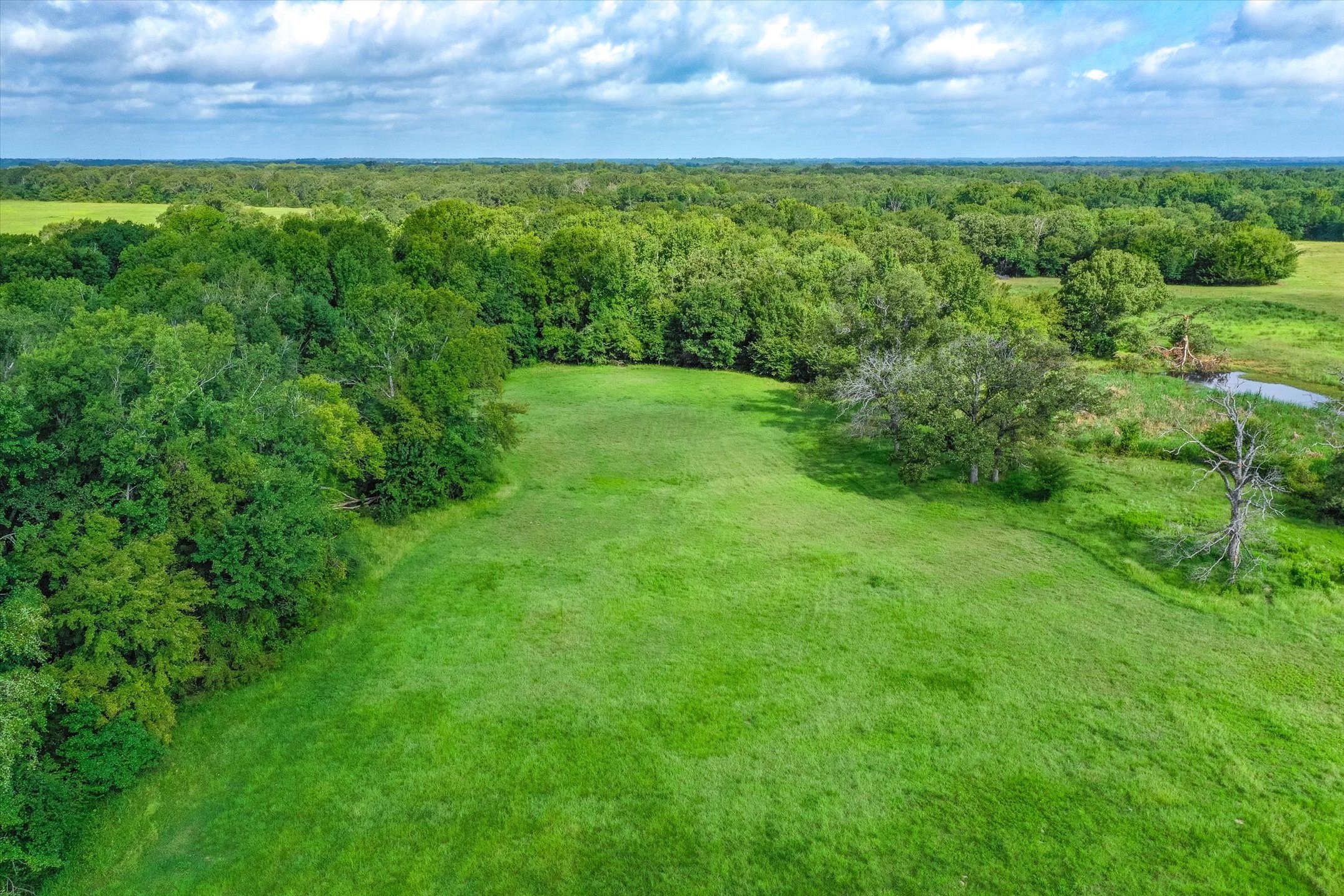 100 (+/-) Acres Fm 773 Grand Saline TX 75140