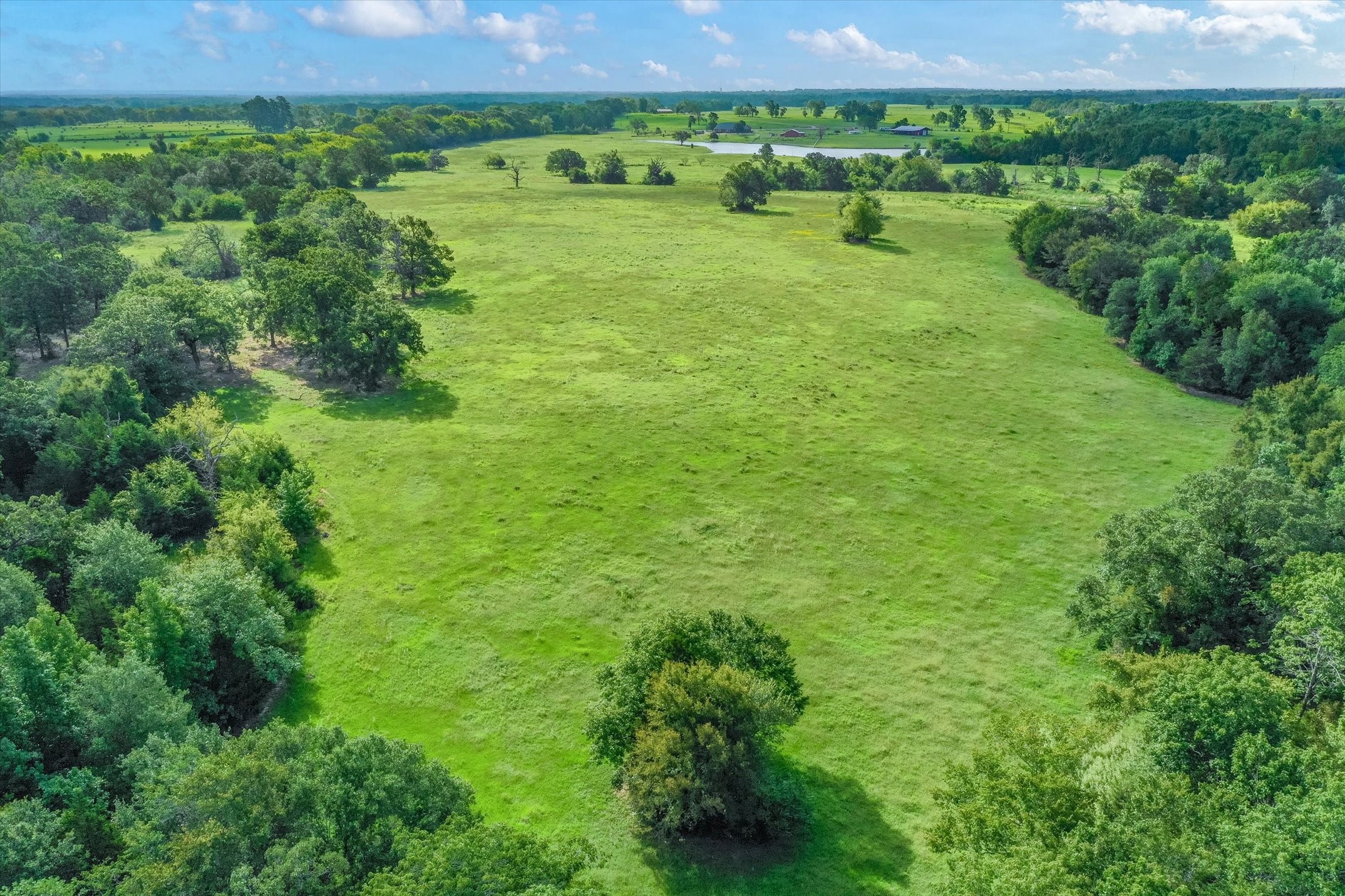 100 (+/-) Acres Fm 773 Grand Saline TX 75140