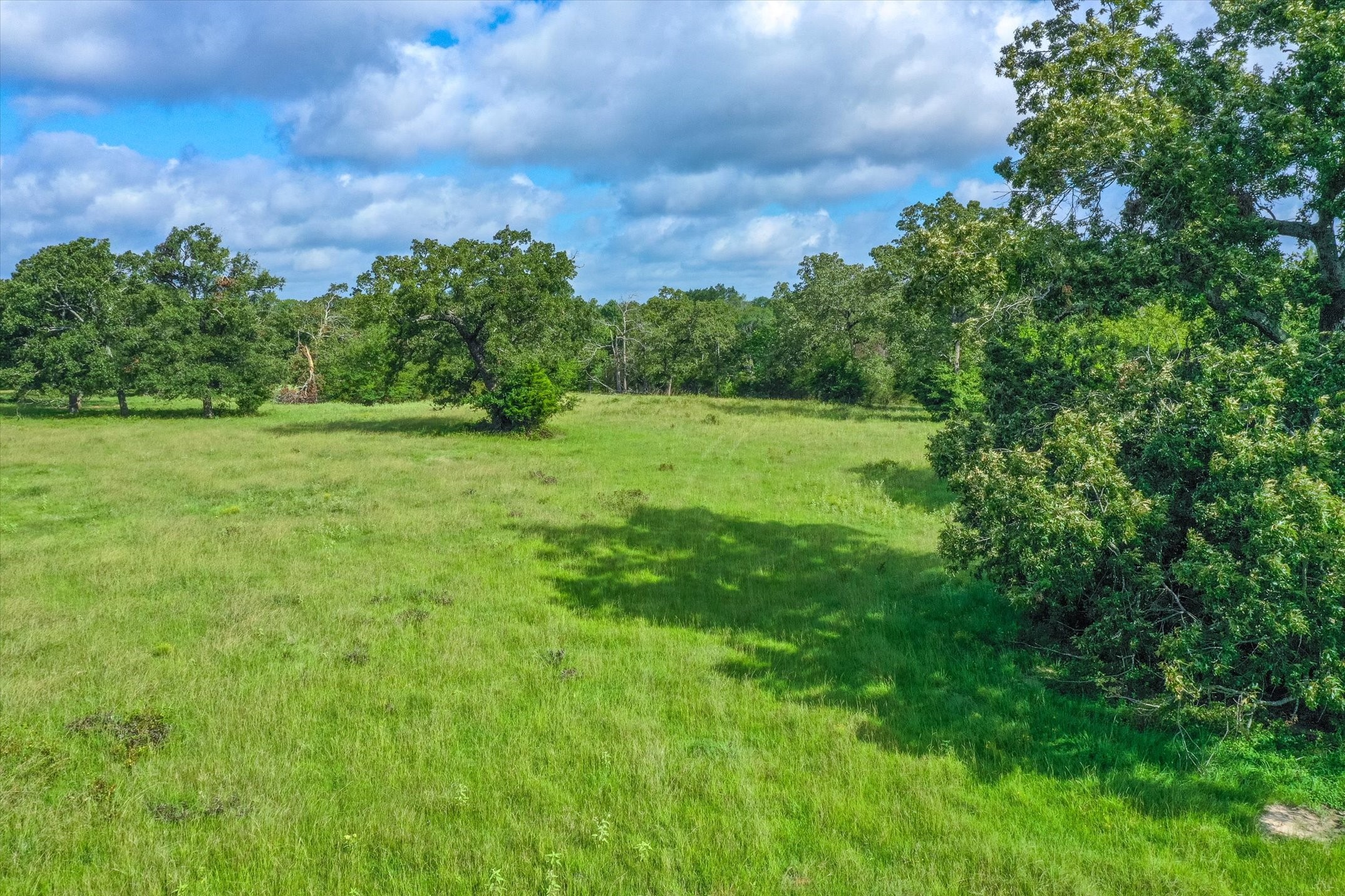 100 (+/-) Acres Fm 773 Grand Saline TX 75140