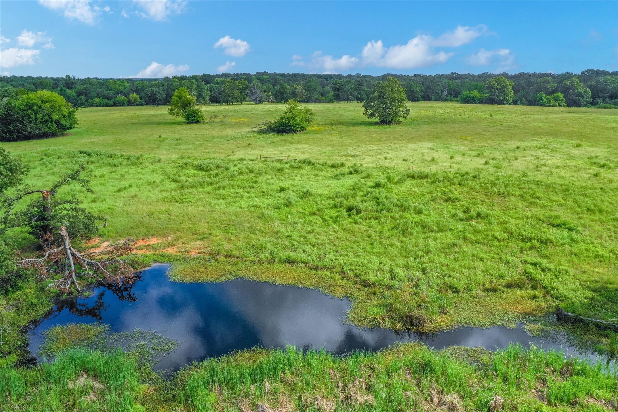 100 (+/-) Acres Fm 773 Grand Saline TX 75140