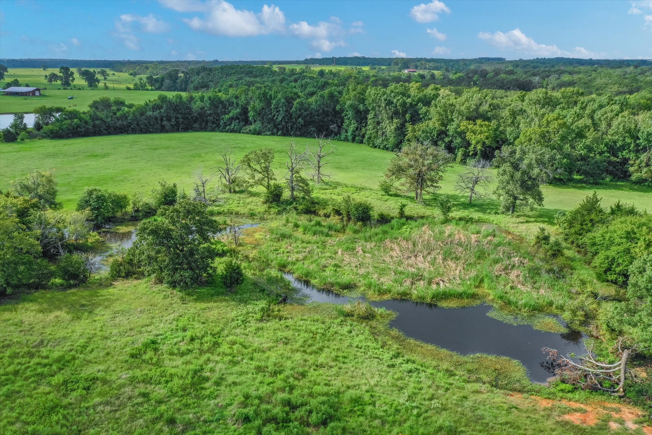 100 (+/-) Acres Fm 773 Grand Saline TX 75140