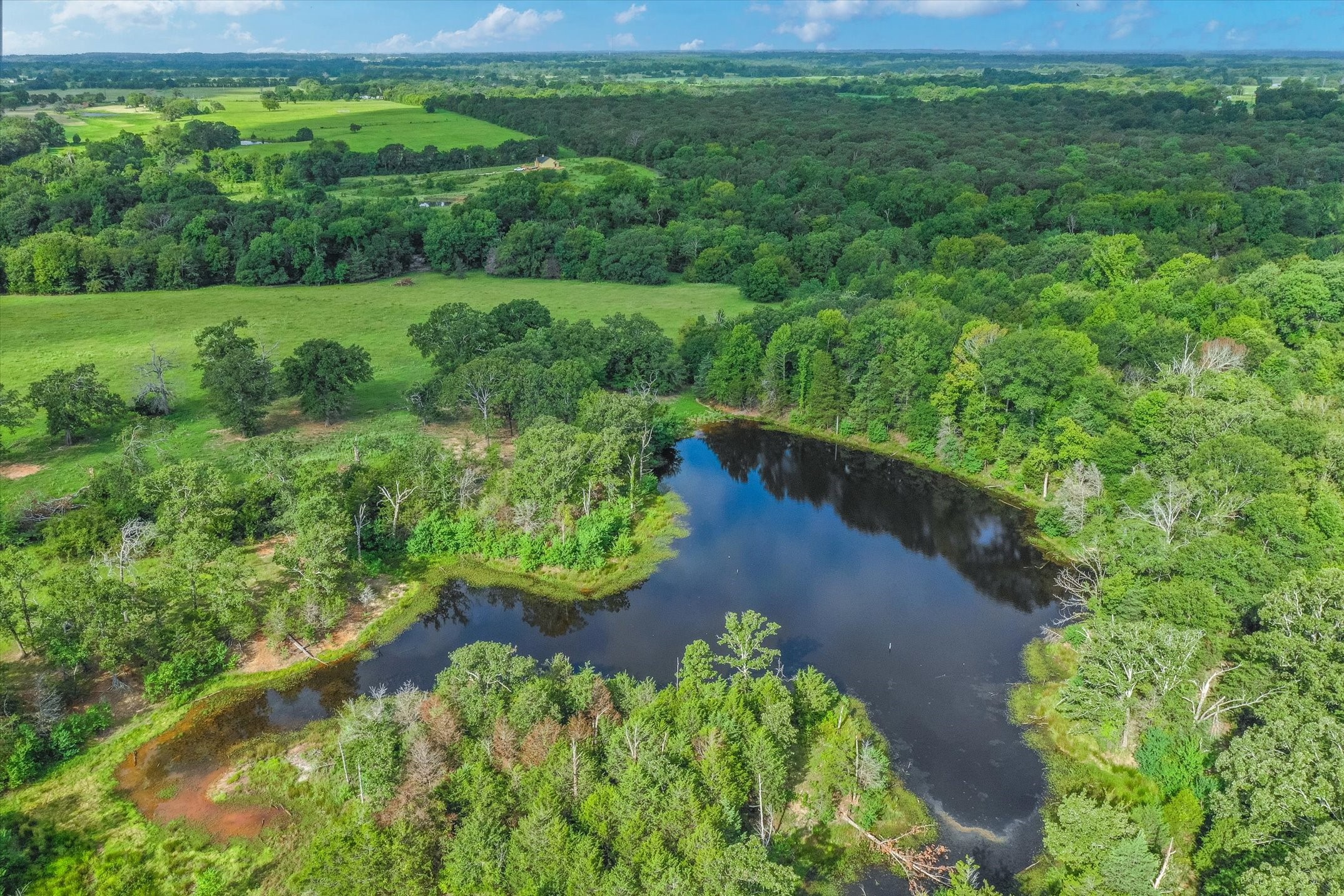 100 (+/-) Acres Fm 773 Grand Saline TX 75140