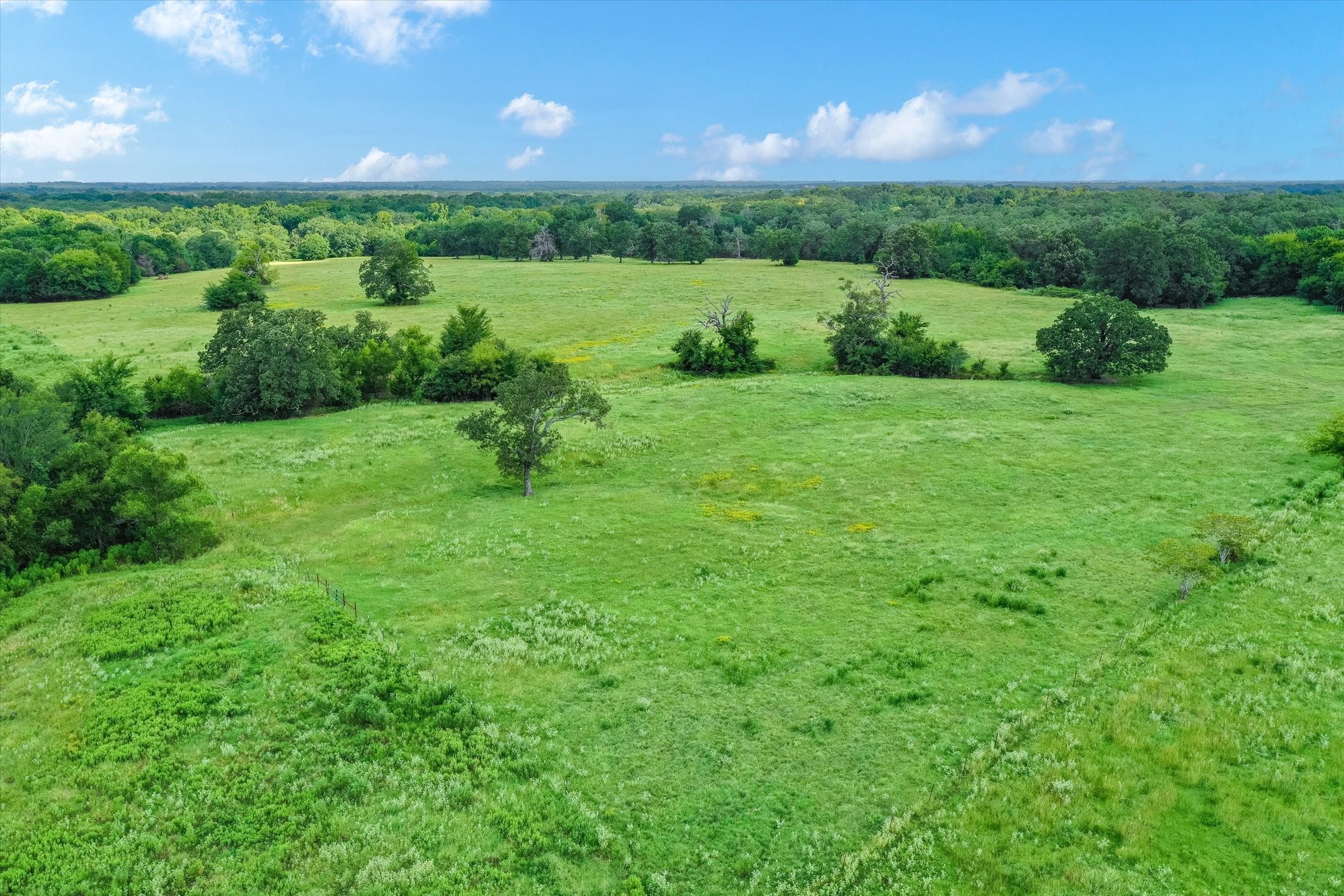 100 (+/-) Acres Fm 773 Grand Saline TX 75140
