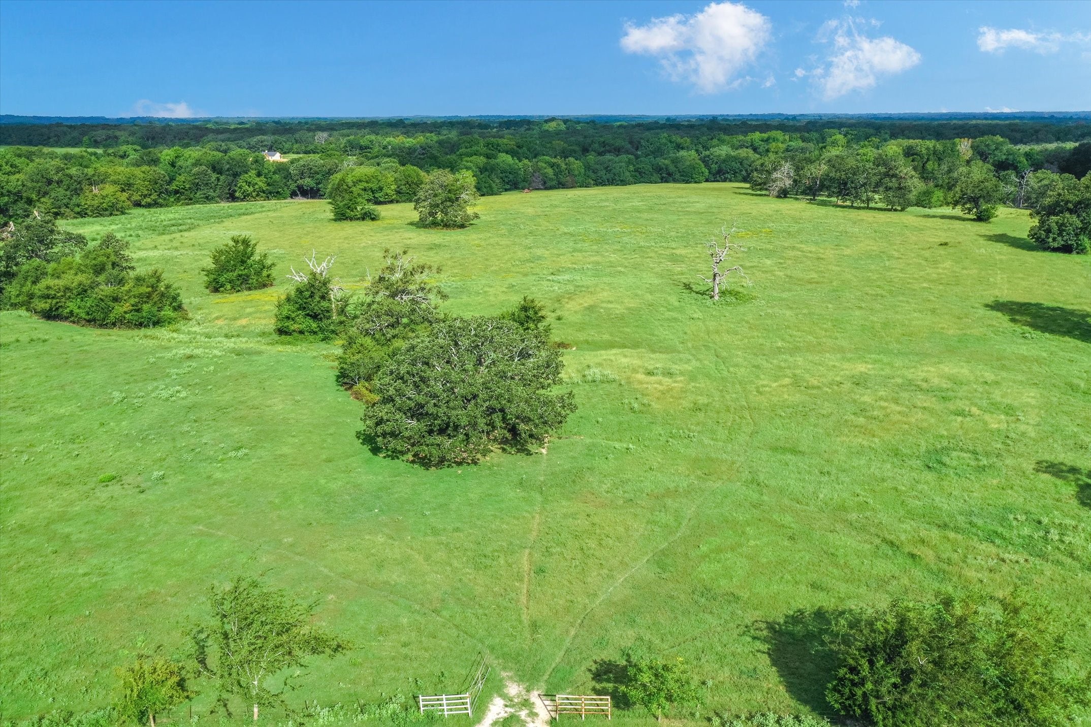 100 (+/-) Acres Fm 773 Grand Saline TX 75140