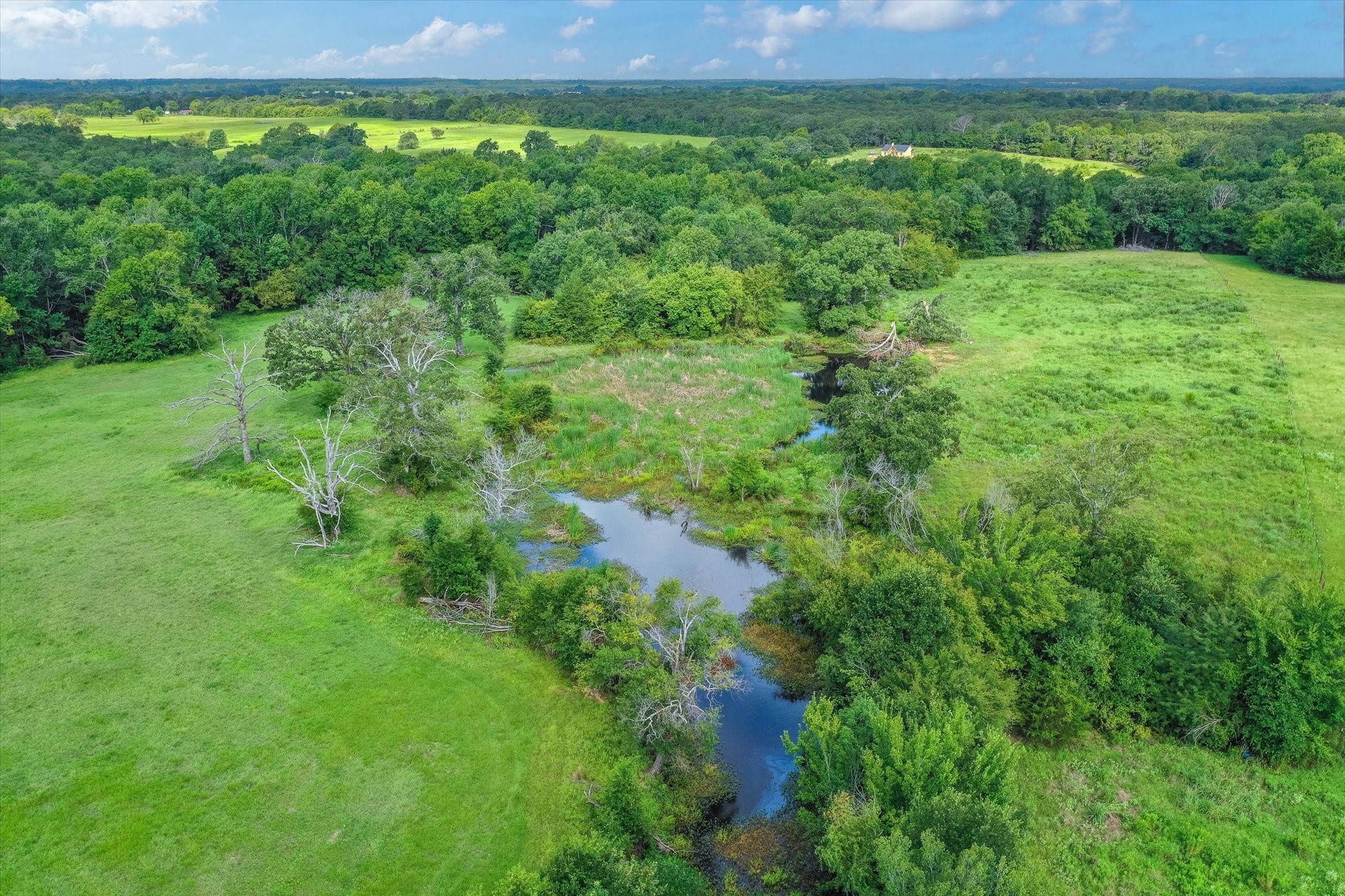 100 (+/-) Acres Fm 773 Grand Saline TX 75140