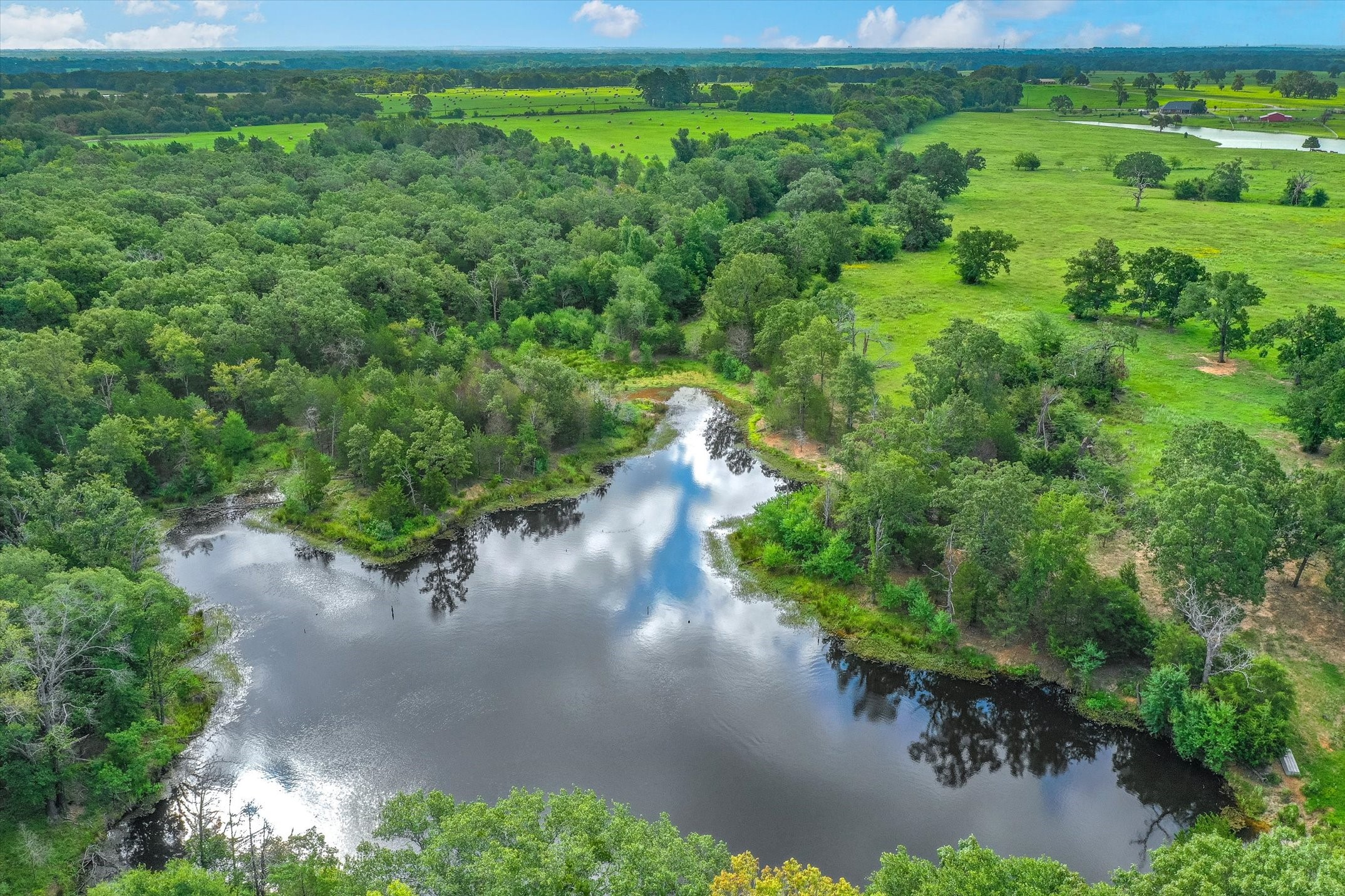 100 (+/-) Acres Fm 773 Grand Saline TX 75140