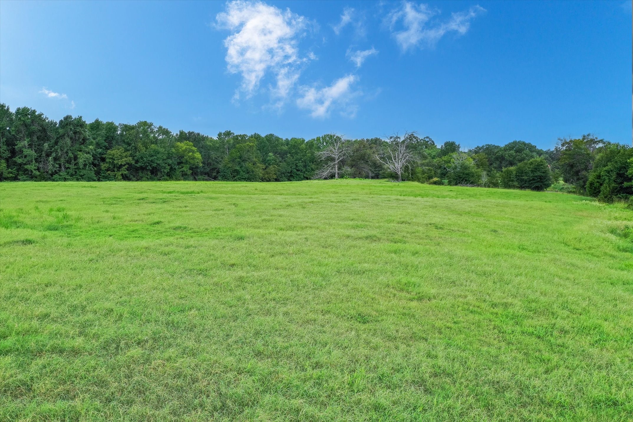 100 (+/-) Acres Fm 773 Grand Saline TX 75140
