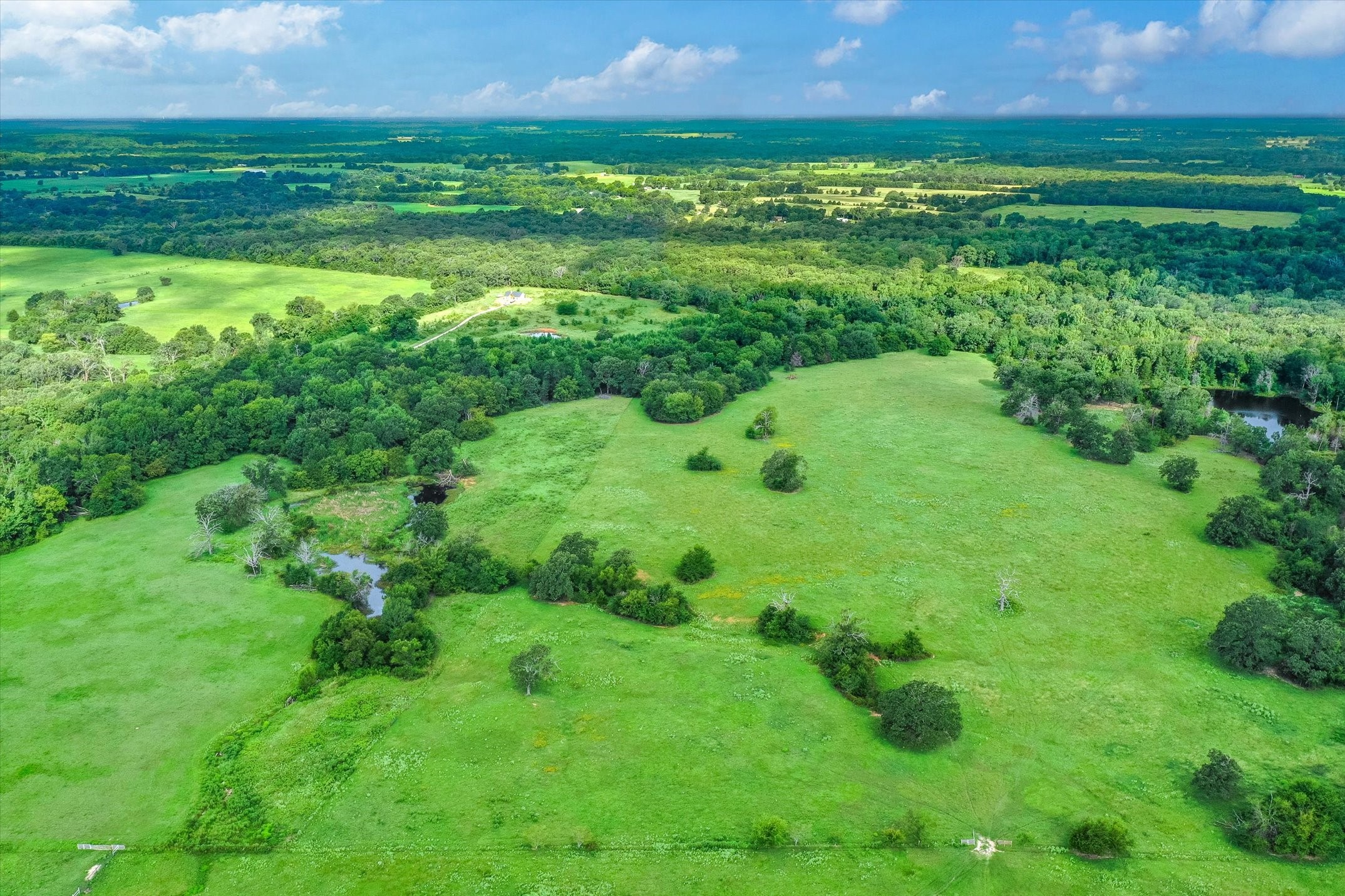 100 (+/-) Acres Fm 773 Grand Saline TX 75140
