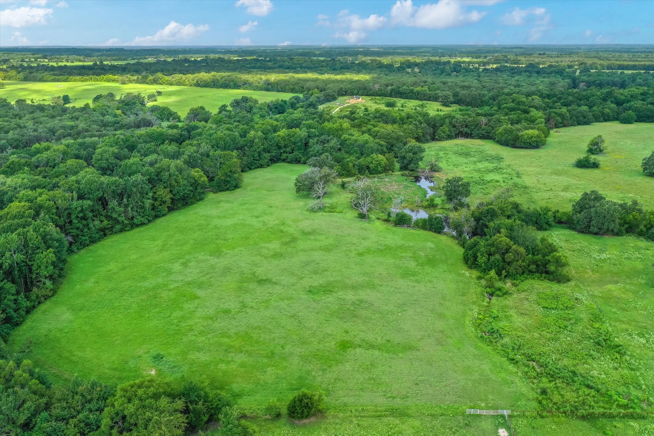 100 (+/-) Acres Fm 773 Grand Saline TX 75140
