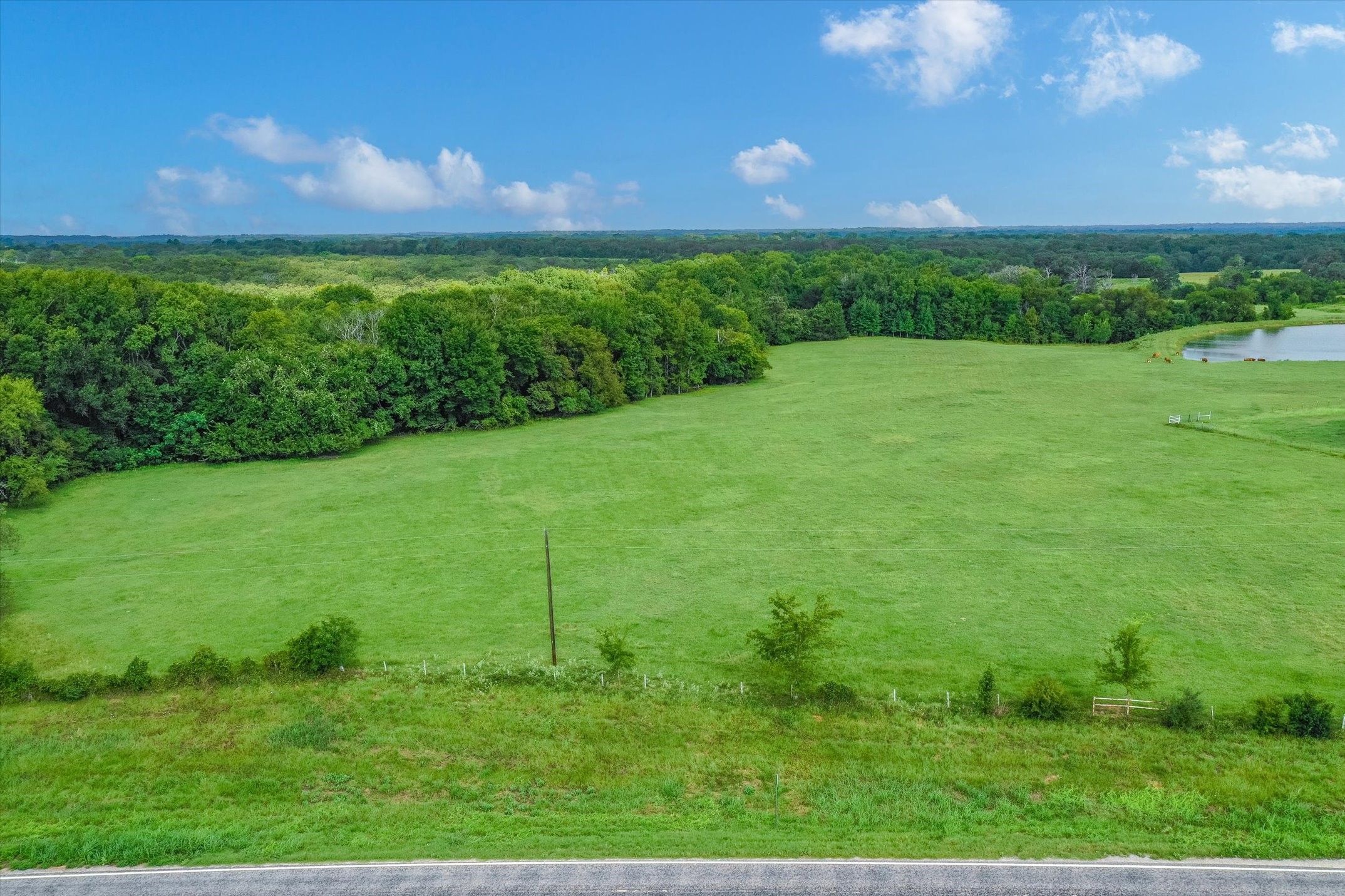 100 (+/-) Acres Fm 773 Grand Saline TX 75140