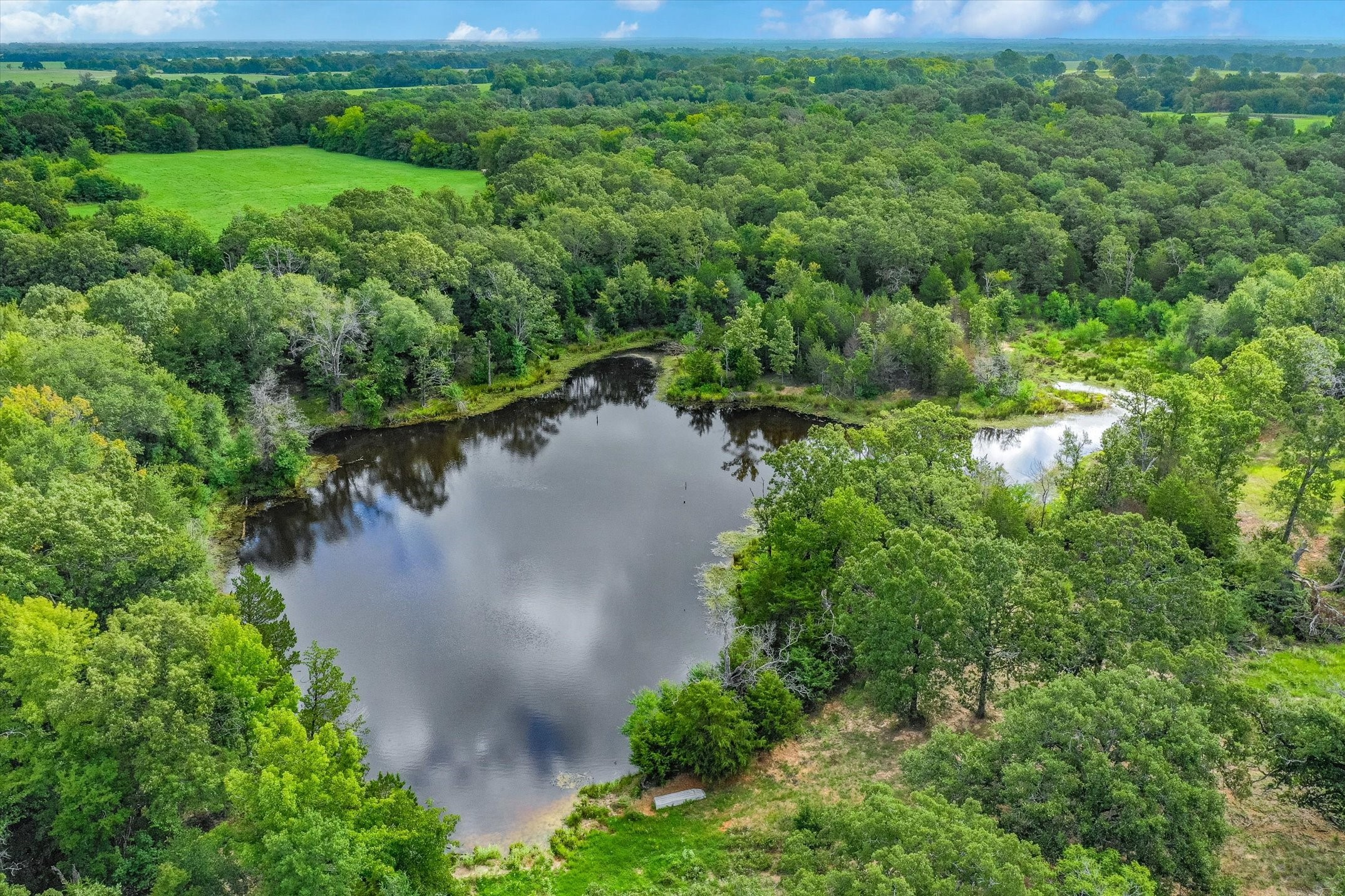 100 (+/-) Acres Fm 773 Grand Saline TX 75140
