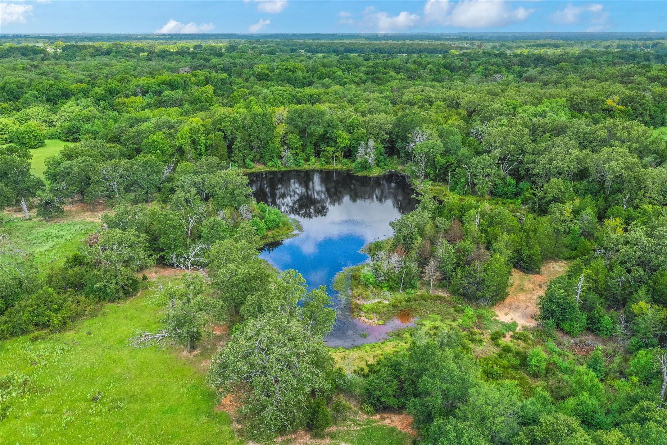 100 (+/-) Acres Fm 773 Grand Saline TX 75140