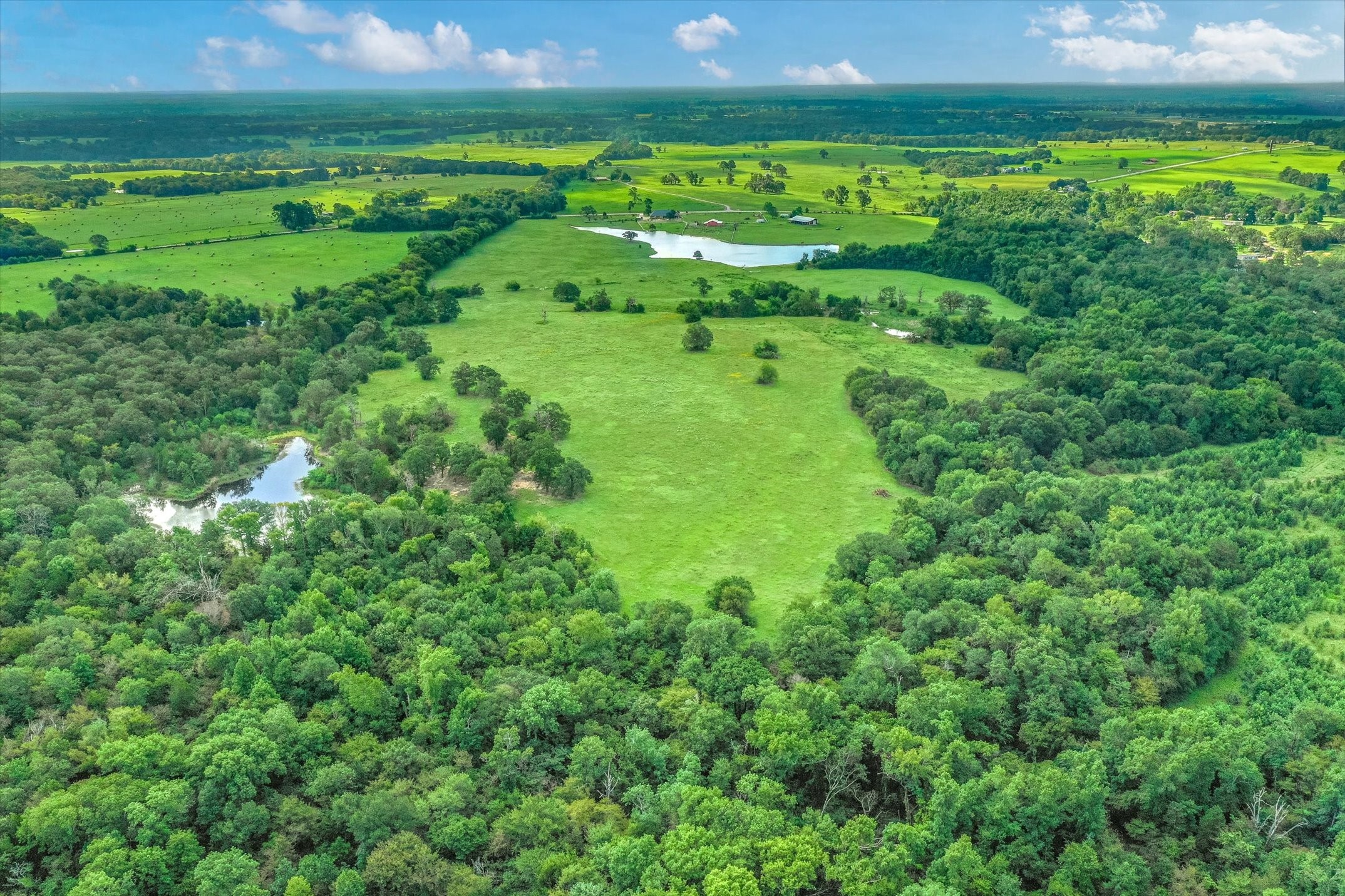 100 (+/-) Acres Fm 773 Grand Saline TX 75140