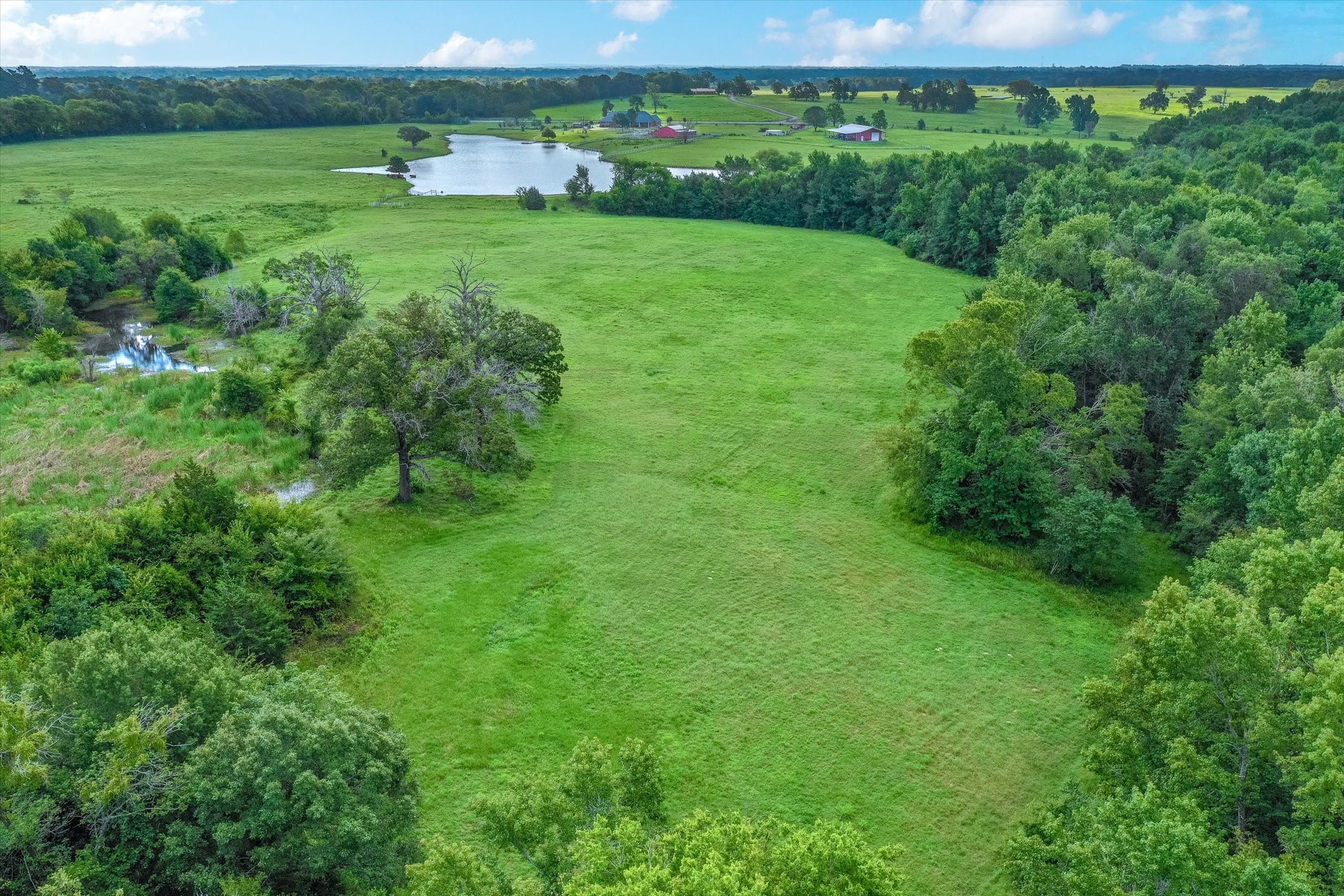 100 (+/-) Acres Fm 773 Grand Saline TX 75140