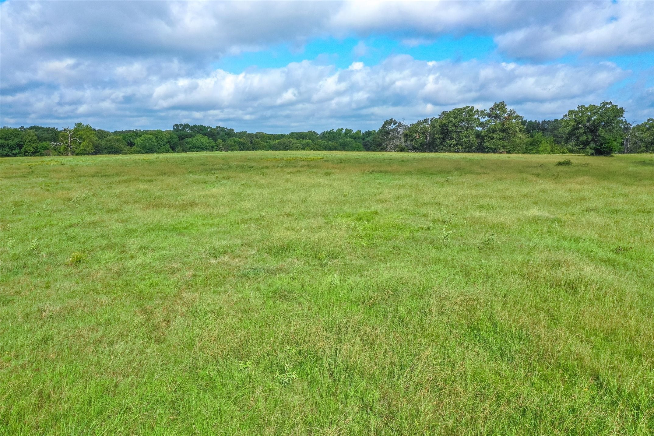 100 (+/-) Acres Fm 773 Grand Saline TX 75140