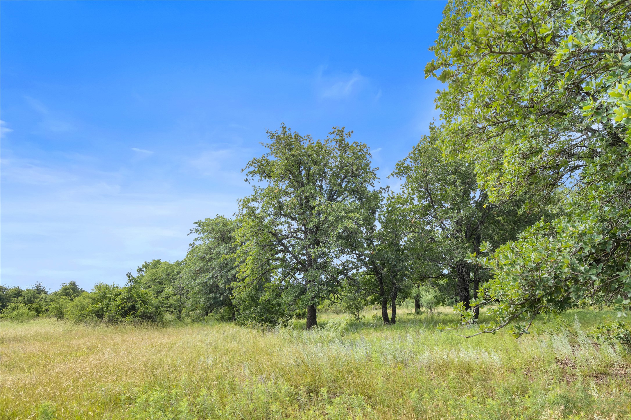 Tbd Berry Dairy Road Jacksboro TX 76458