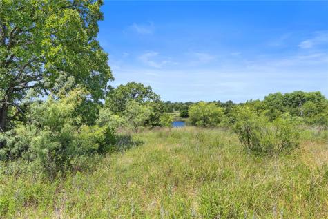 Tbd Berry Dairy Road Jacksboro TX 76458