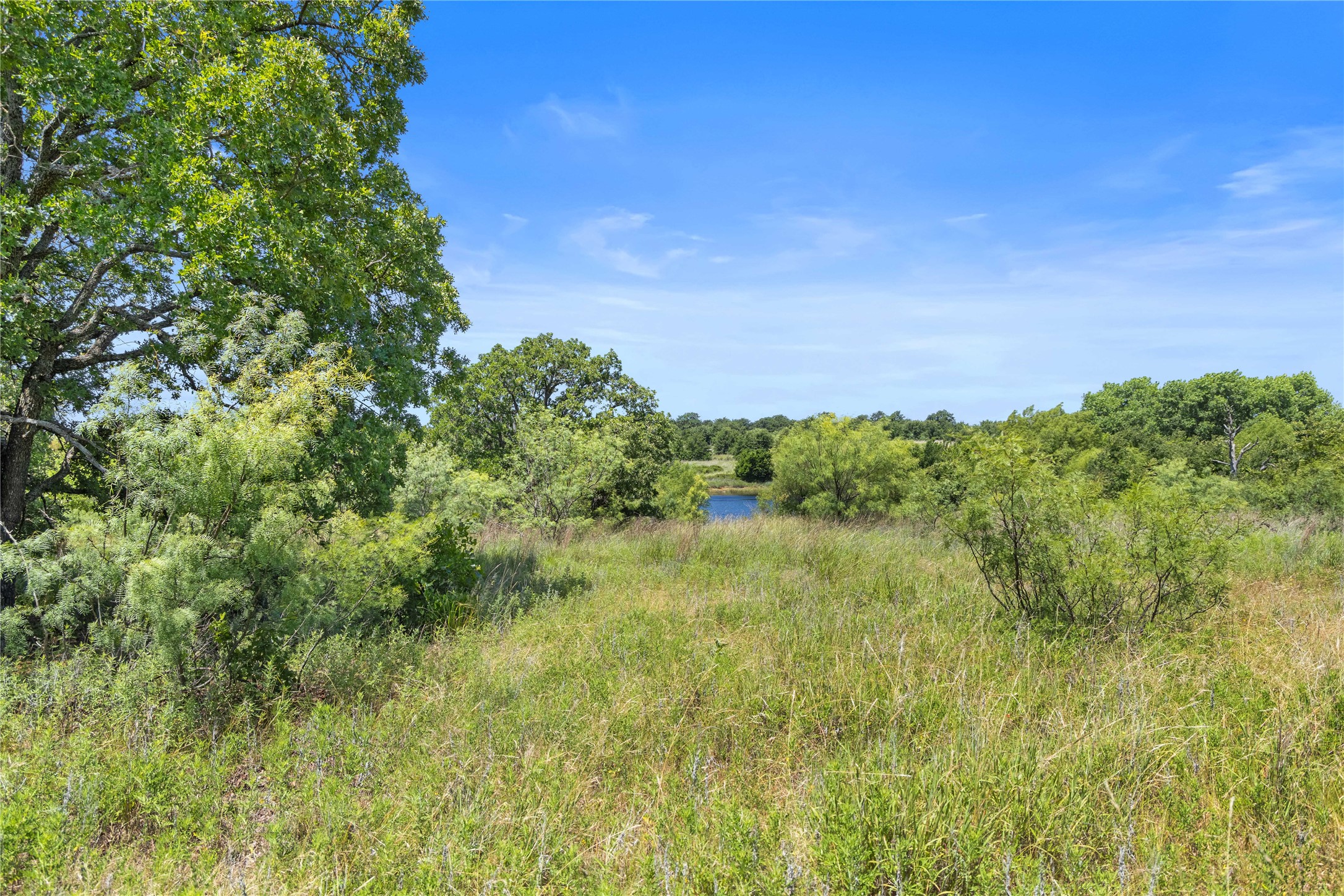 Tbd Berry Dairy Road Jacksboro TX 76458