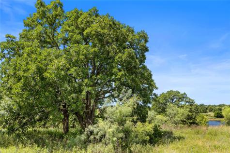 Tbd Berry Dairy Road Jacksboro TX 76458