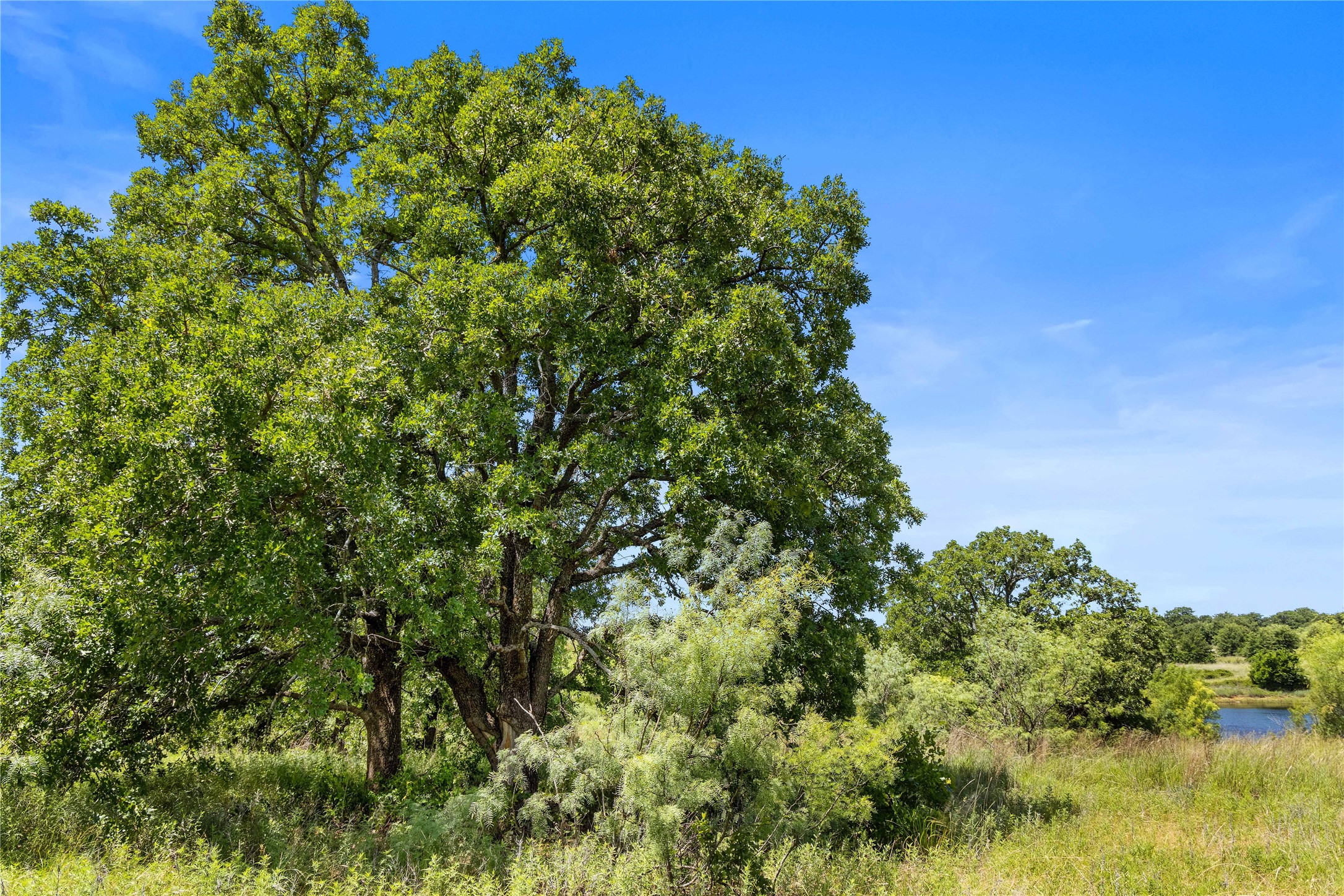 Tbd Berry Dairy Road Jacksboro TX 76458