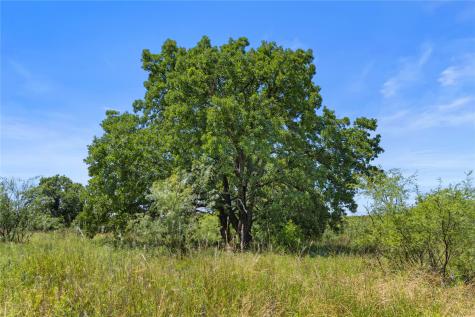 Tbd Berry Dairy Road Jacksboro TX 76458
