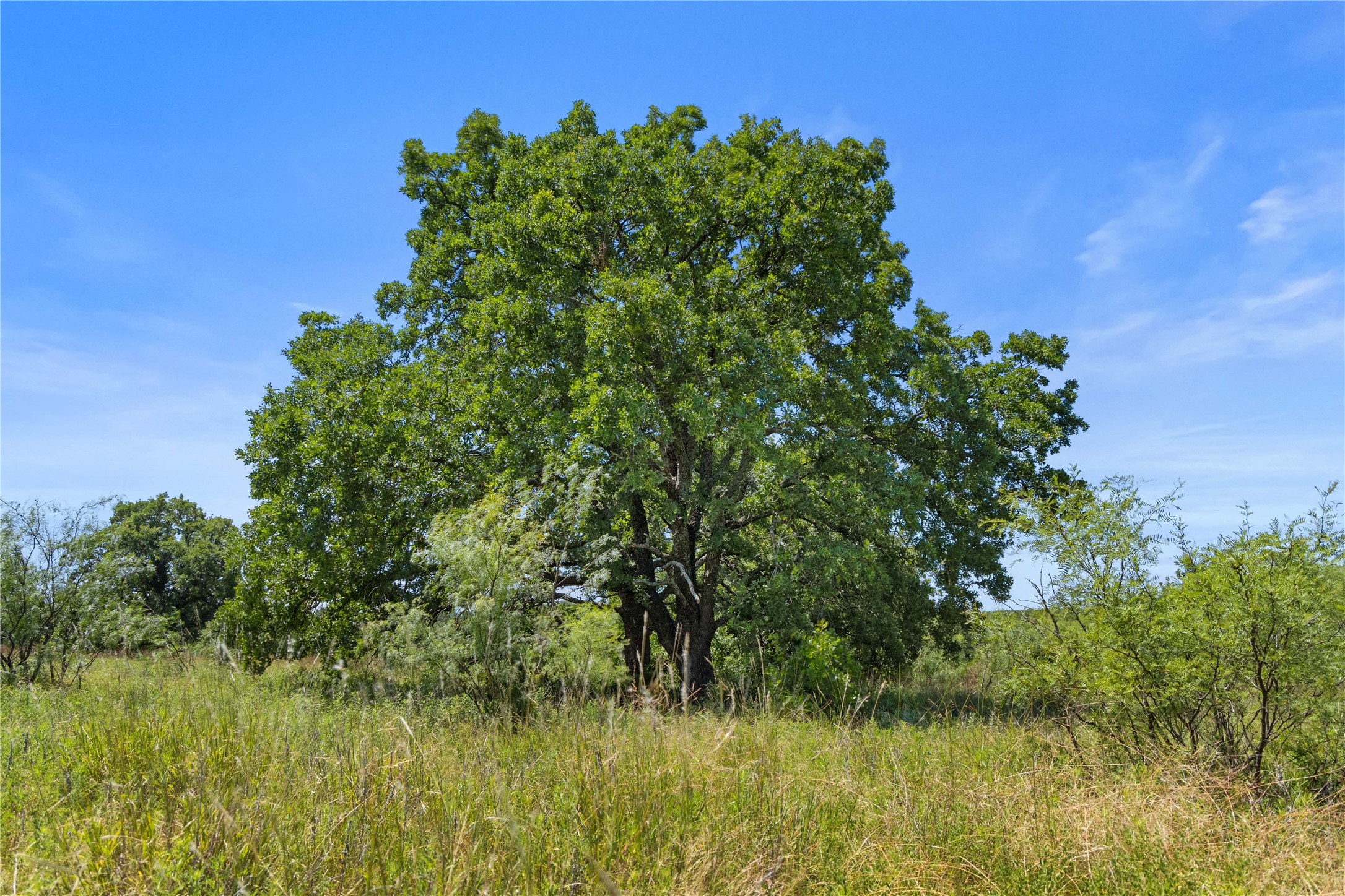 Tbd Berry Dairy Road Jacksboro TX 76458