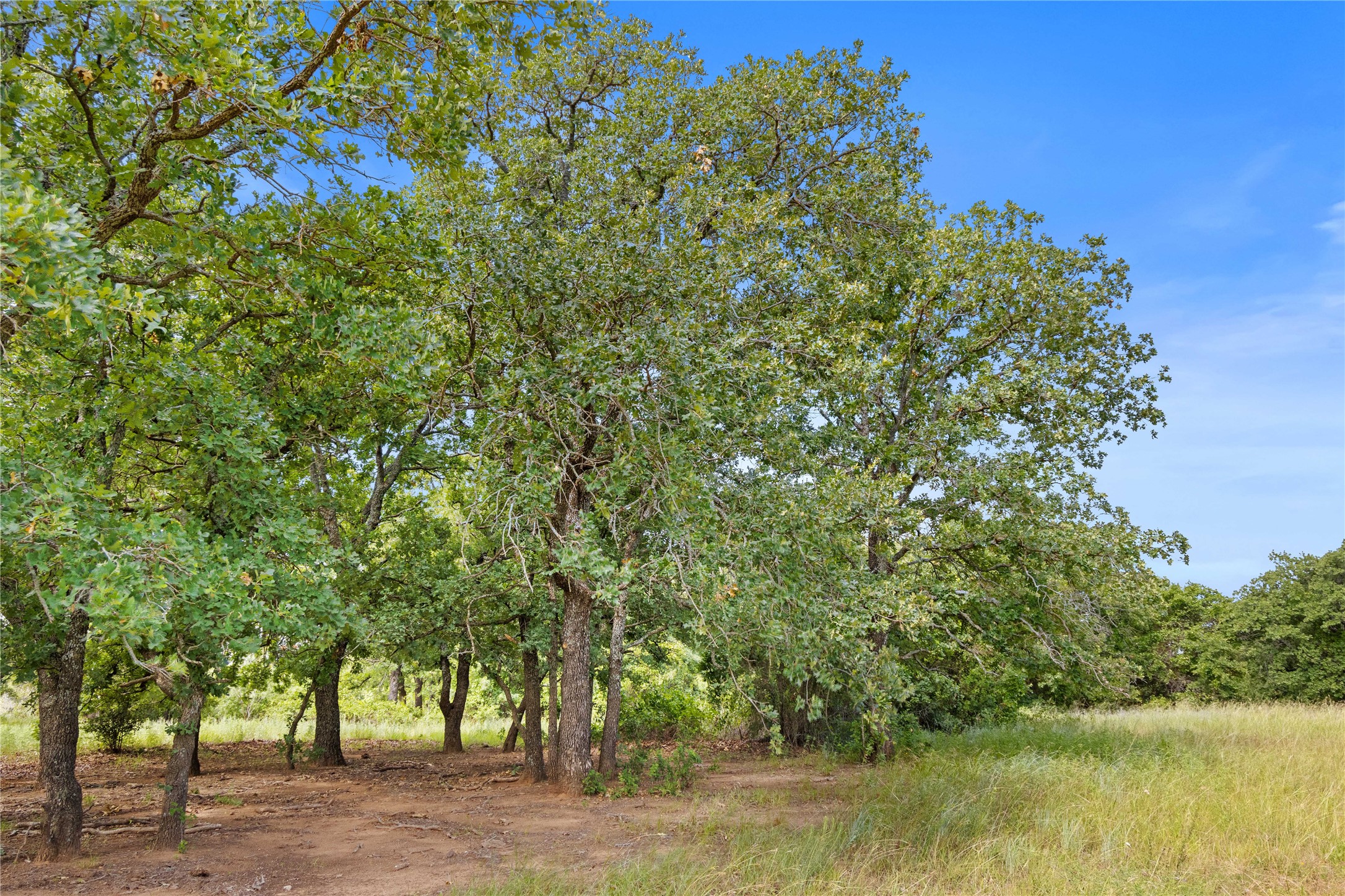 Tbd Berry Dairy Road Jacksboro TX 76458