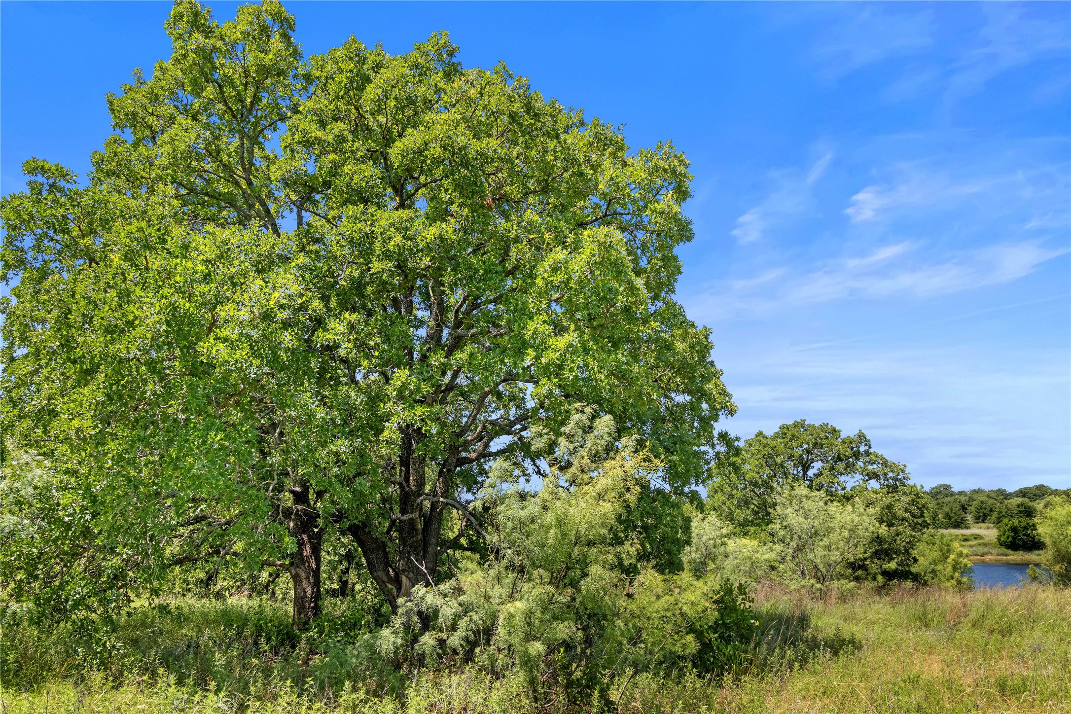 Tbd Berry Dairy Road Jacksboro TX 76458
