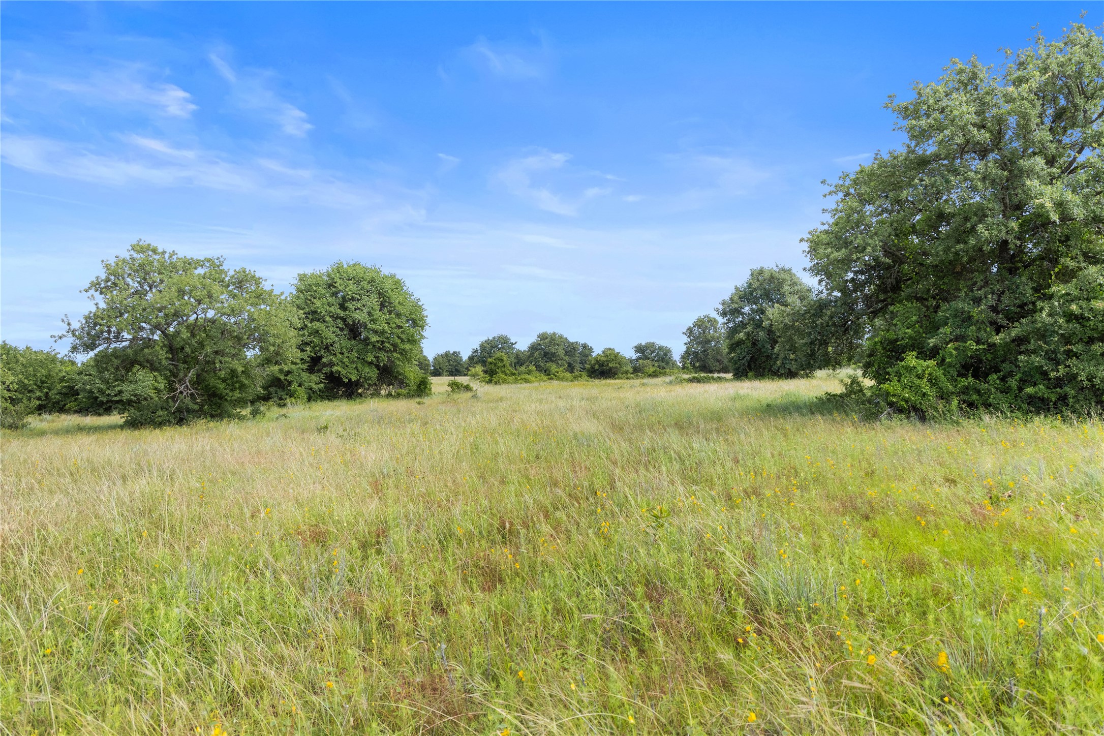 Tbd Berry Dairy Road Jacksboro TX 76458