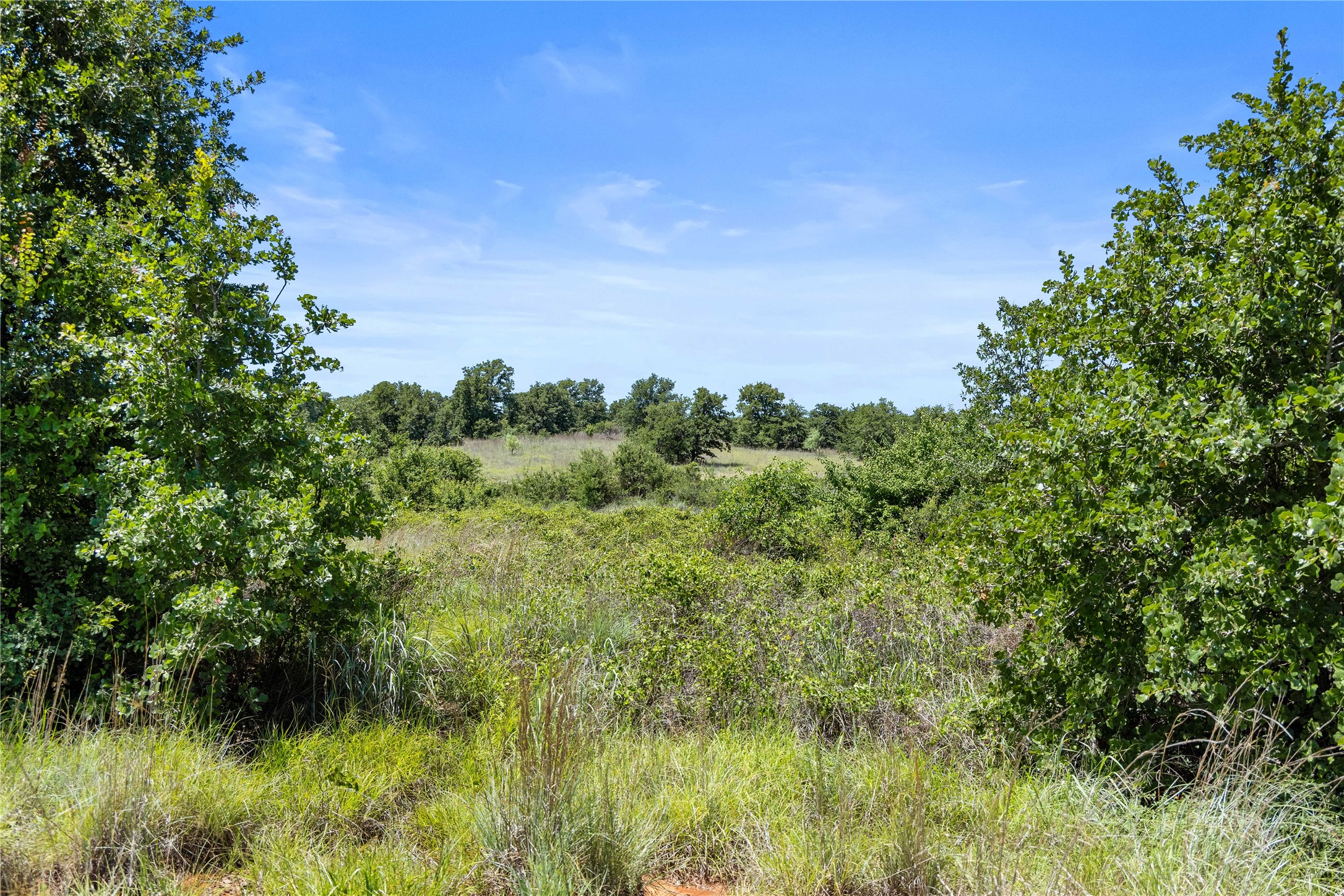 Tbd Berry Dairy Road Jacksboro TX 76458