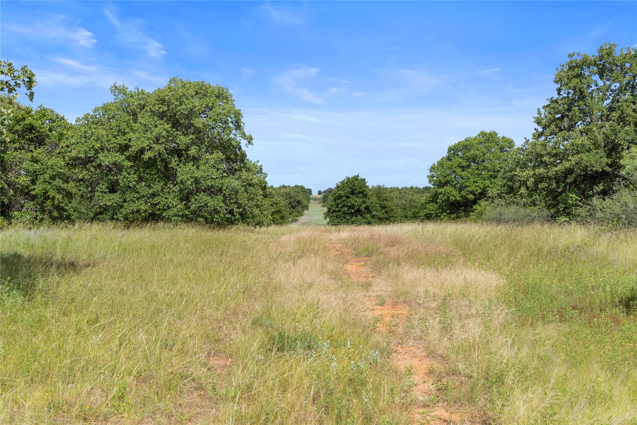 Tbd Berry Dairy Road Jacksboro TX 76458