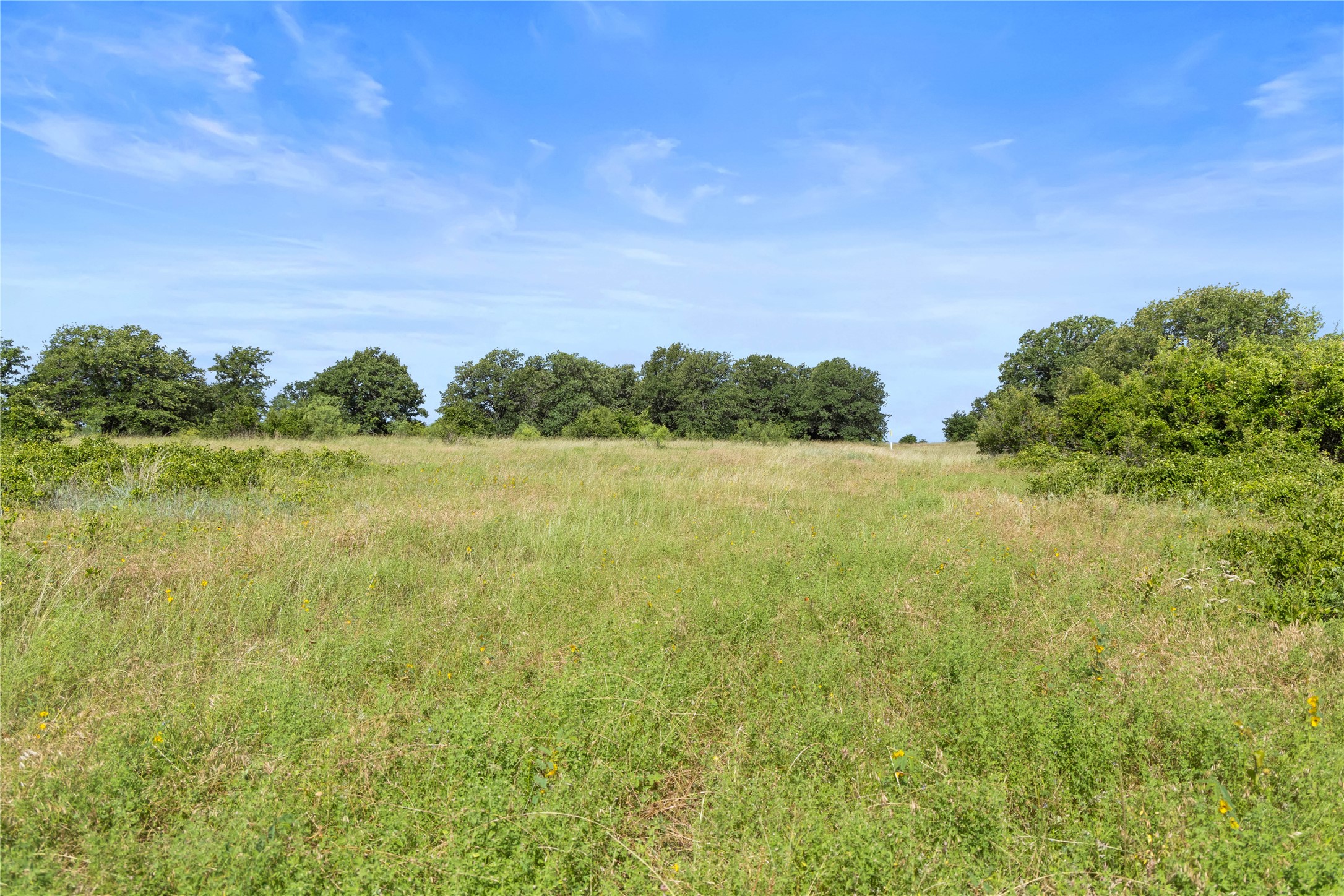 Tbd Berry Dairy Road Jacksboro TX 76458
