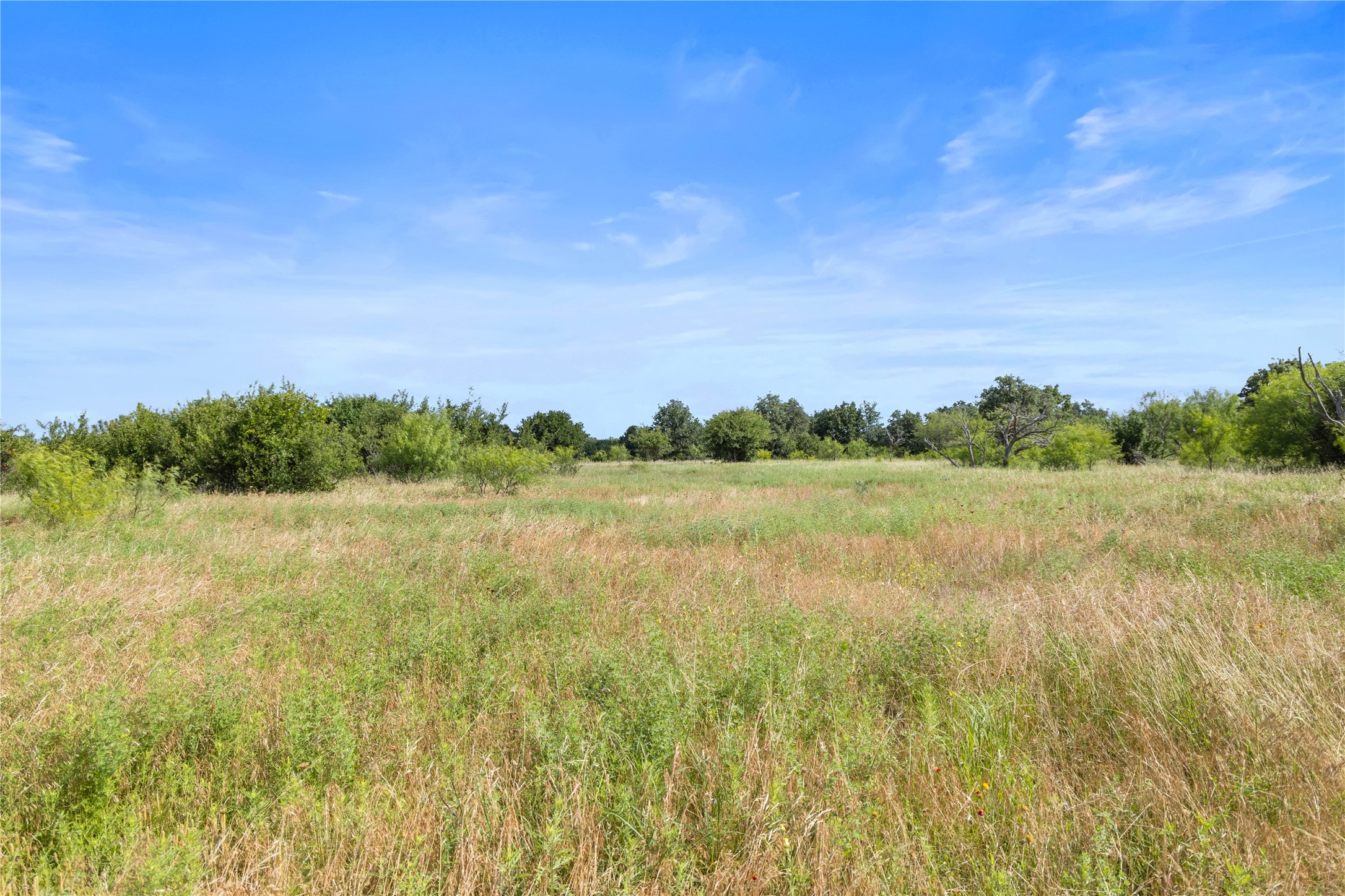 Tbd Berry Dairy Road Jacksboro TX 76458